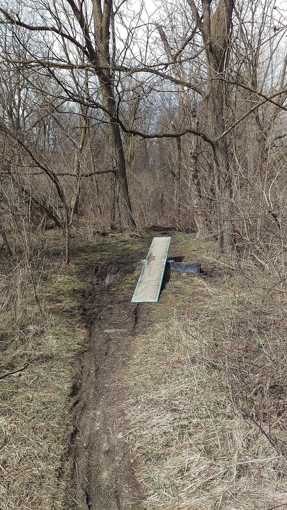 A wooden ramp placed over a muddy pathway in a dense, bare-branched wooded area, with dry grass and scattered debris around. Olson Park mountain bike trail.