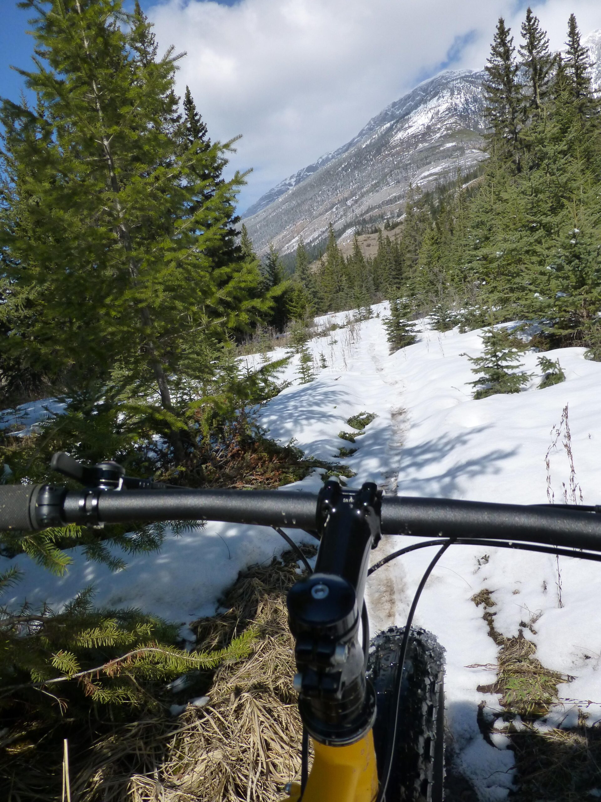 A view from the handlebars of a mountain bike navigating a snowy trail surrounded by evergreen trees, with mountains in the background under a partly cloudy sky. The Overlander mountain bike trail.