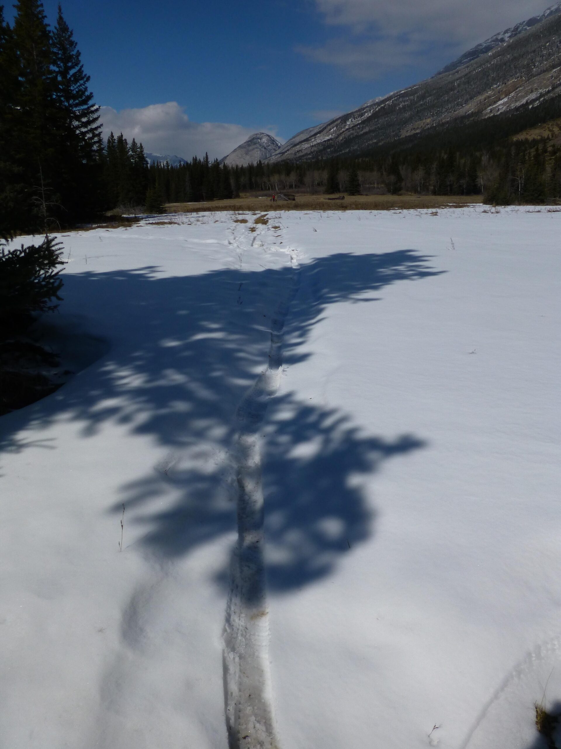 A snow-covered landscape with a trail leading through the snow. A large shadow from a nearby tree stretches across the ground, and the background features mountains under a blue sky with some clouds. The scene captures a serene winter environment. The Overlander mountain bike trail.