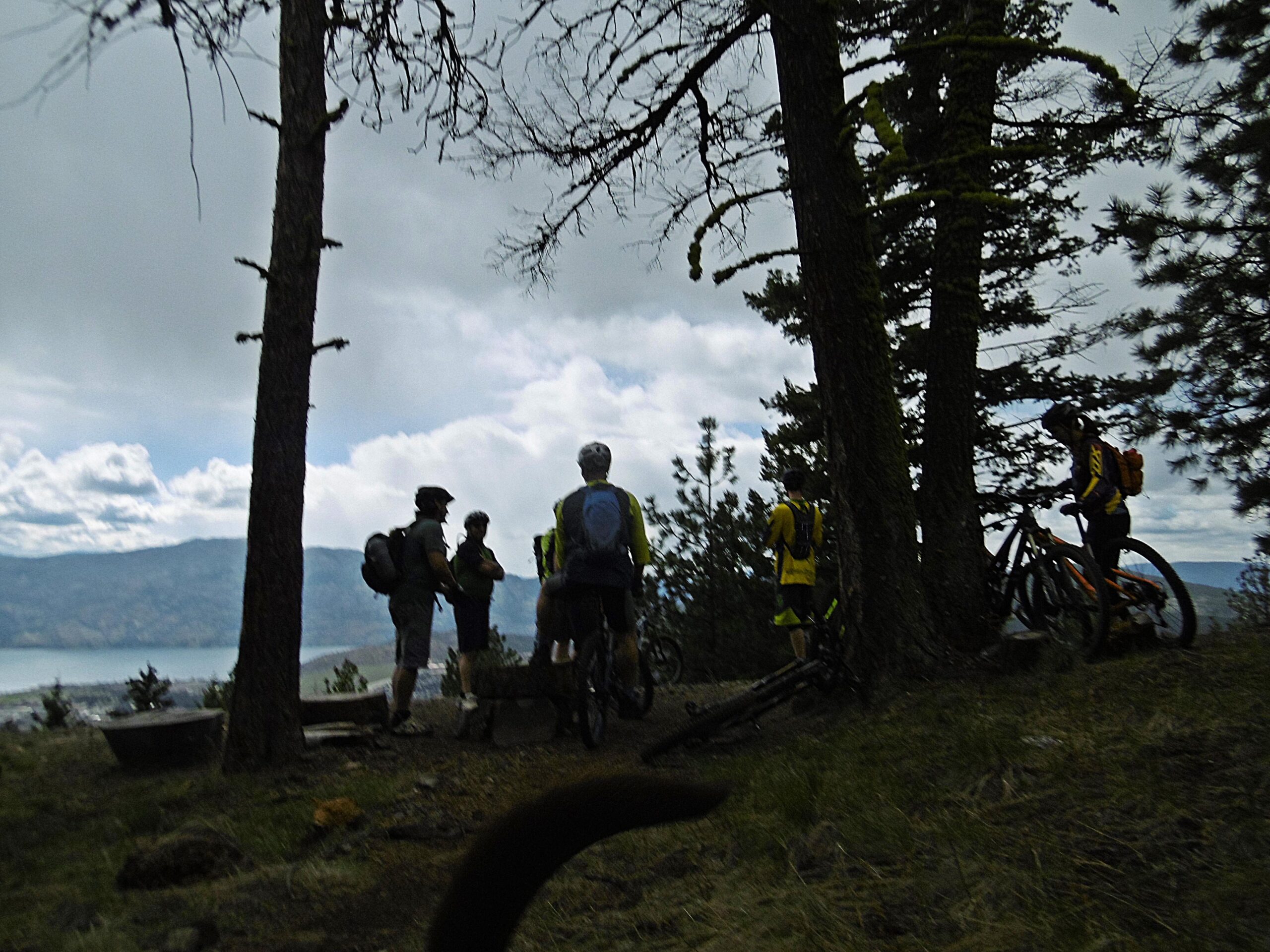 A group of mountain bikers, wearing helmets and bright clothing, gather near tall trees overlooking a scenic landscape with hills and a body of water in the background. The sky is partly cloudy, creating a serene outdoor atmosphere. Smith Creek mountain bike trail.