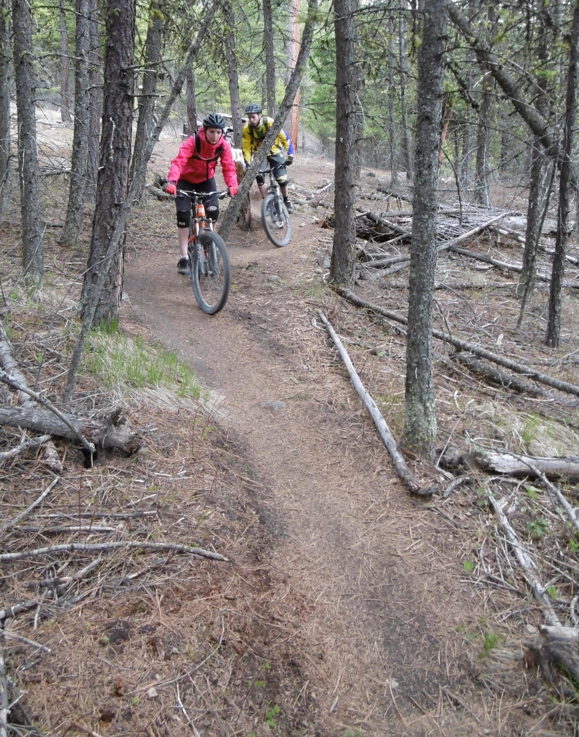Two mountain bikers navigate a winding dirt path through a forested area, surrounded by trees and fallen branches. The rider in the foreground wears a bright pink jacket, while the one in the background is dressed in yellow. The trail is lined with pine needles and foliage, indicating a natural, rugged terrain. Smith Creek mountain bike trail.