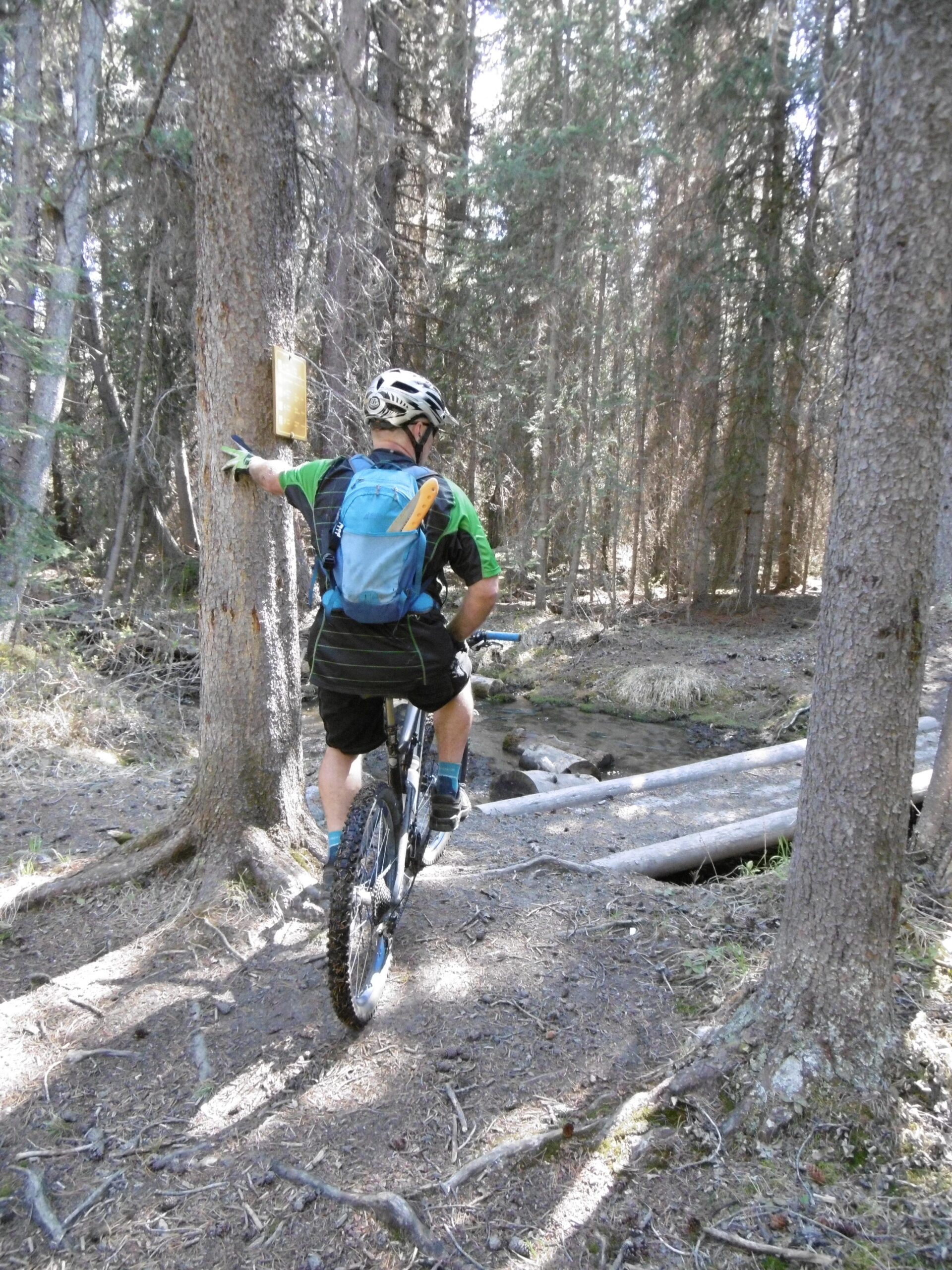 A mountain biker wearing a helmet and a backpack pauses on a narrow trail in a dense forest. He is stopped near a tree with a sign attached, looking toward a small creek and a log bridge ahead. Sunlight filters through the trees, illuminating the earthy trail covered in roots and pine needles. 20-mile loop / Saturday Night Lake Loop mountain bike trail.