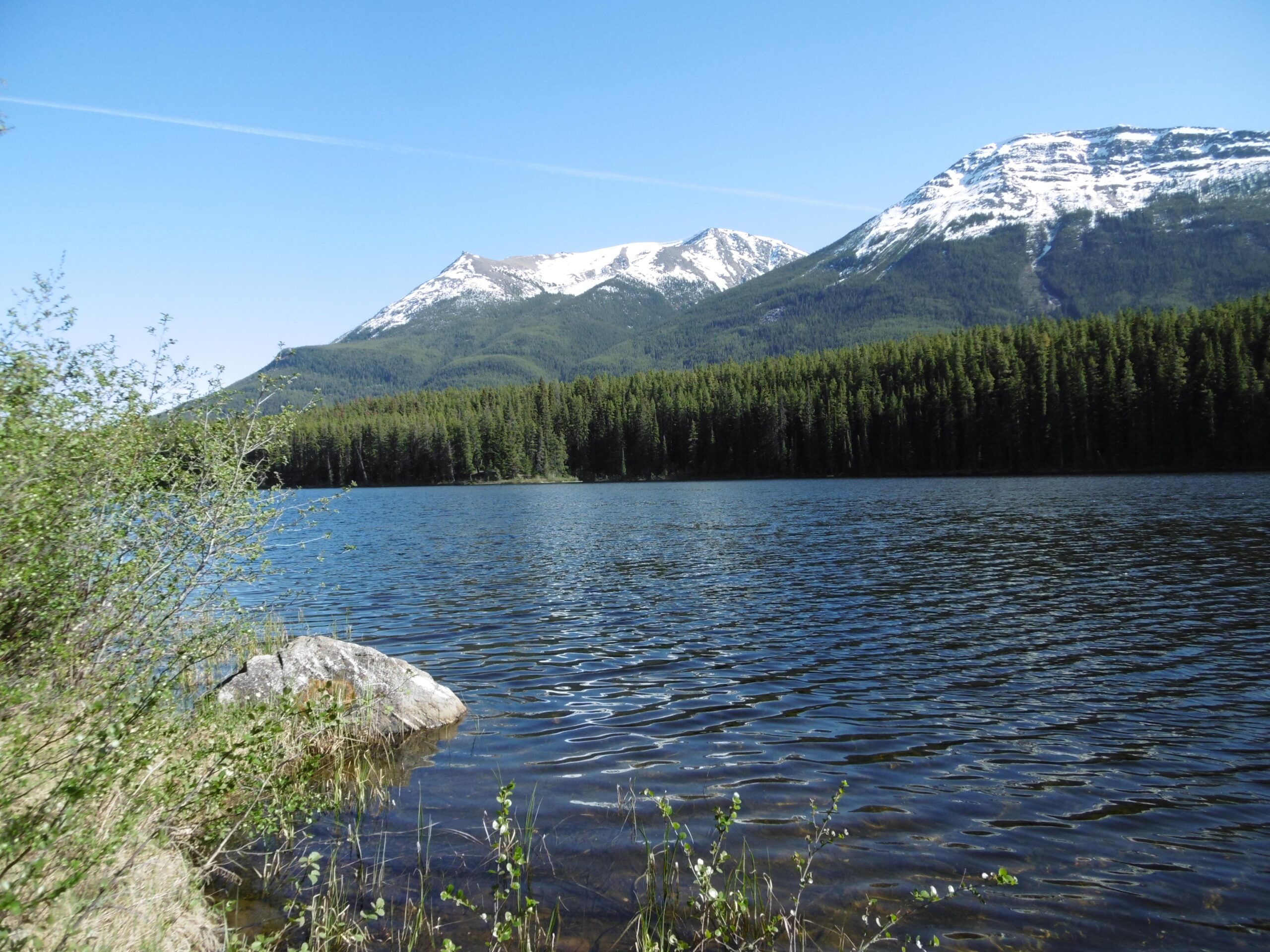 A serene lakeside scene featuring calm water reflecting the clear blue sky, surrounded by lush green forest and majestic snow-capped mountains in the background. Small rocks and greenery line the shore, adding to the tranquil atmosphere. 20-mile loop / Saturday Night Lake Loop mountain bike trail.
