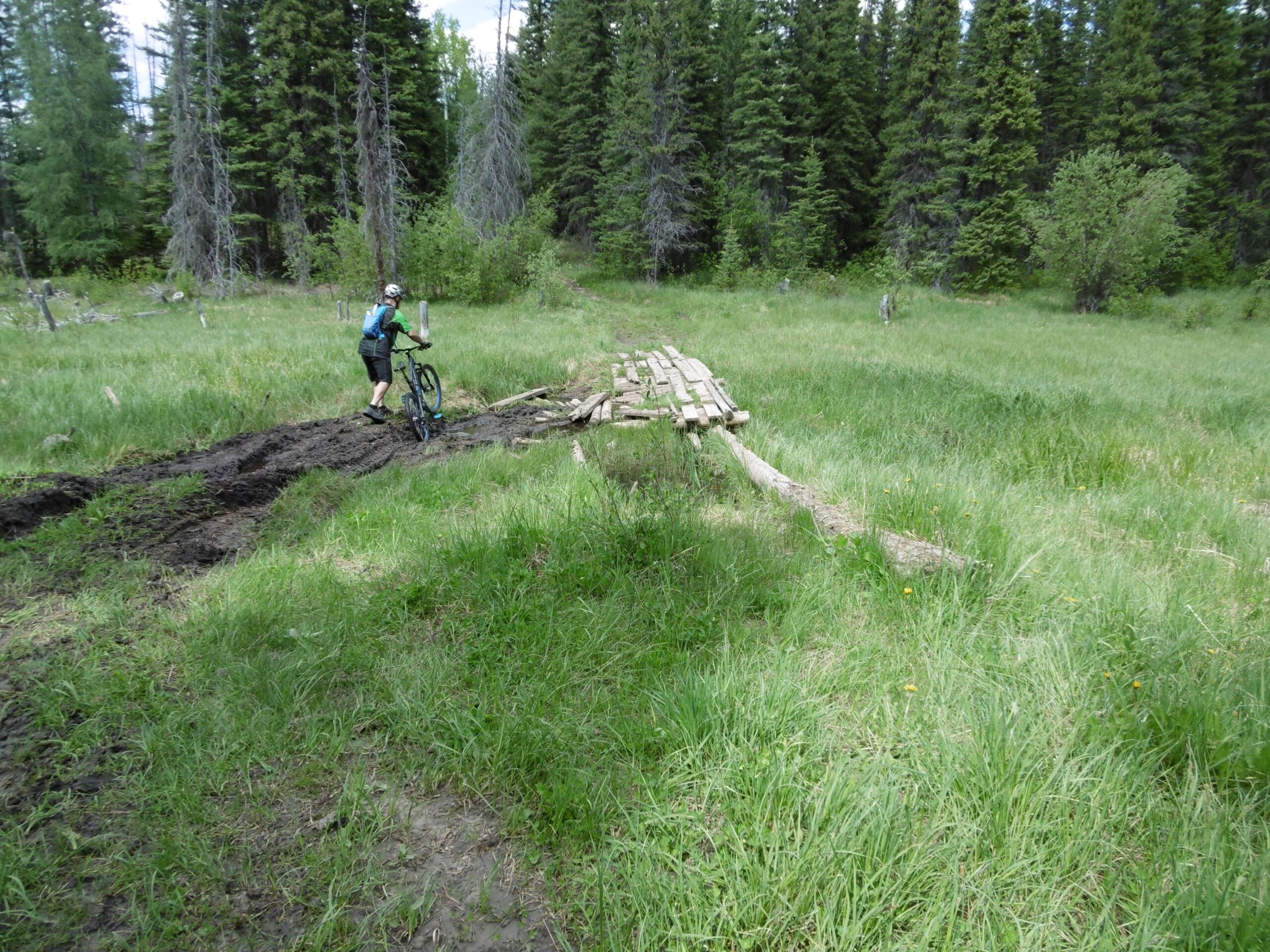 A mountain biker maneuvering through a muddy trail in a grassy clearing, with a wooden bridge ahead. Surrounding the scene are tall trees and a lush green landscape. Happy Creek Trail System mountain bike trail.