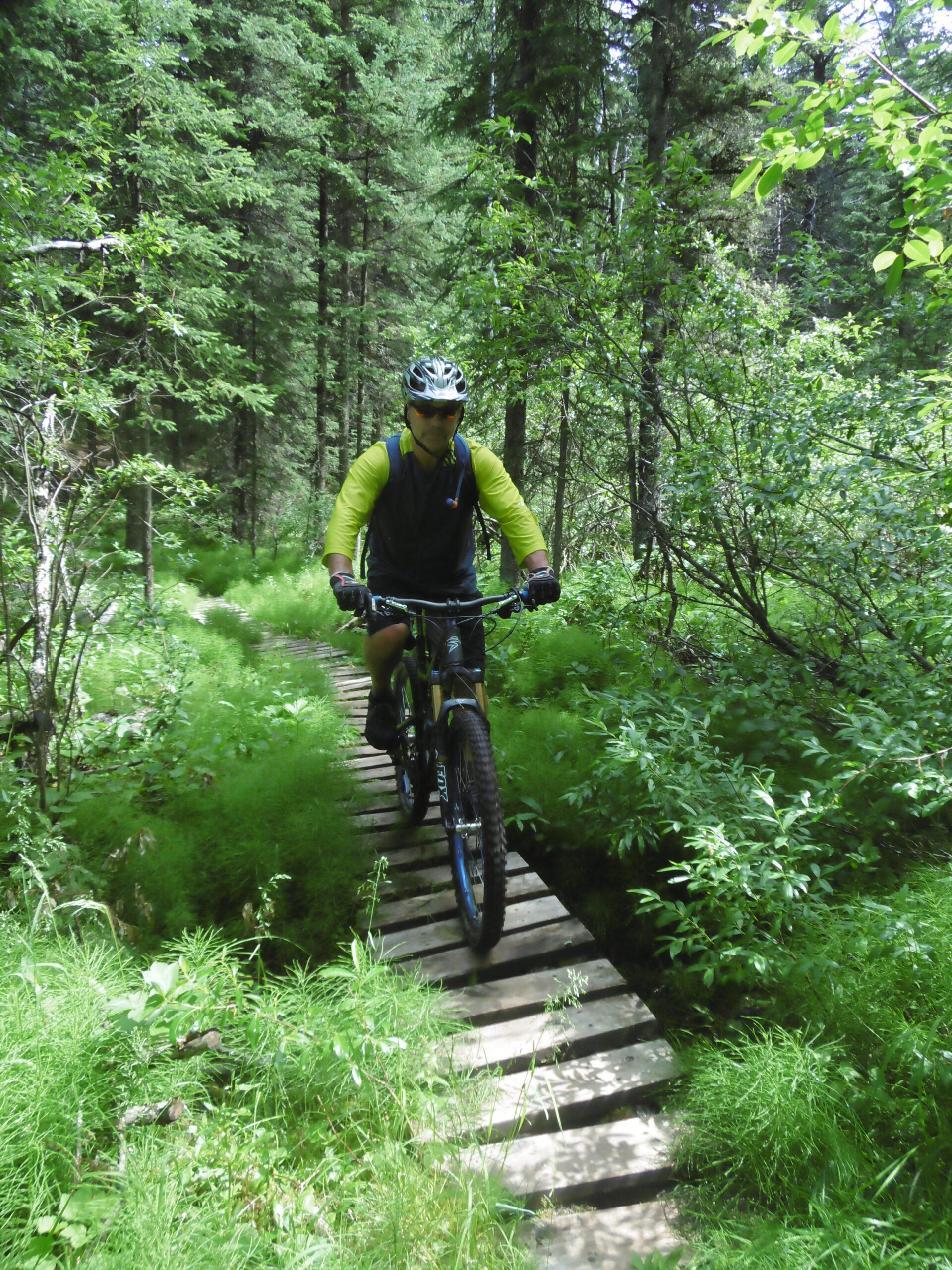A mountain biker riding along a narrow wooden bridge through a lush, green forest filled with tall trees and dense undergrowth. The biker is wearing a helmet and sunglasses, and is dressed in a bright yellow and black outfit, emphasizing an active outdoor lifestyle. Happy Creek Trail System mountain bike trail.