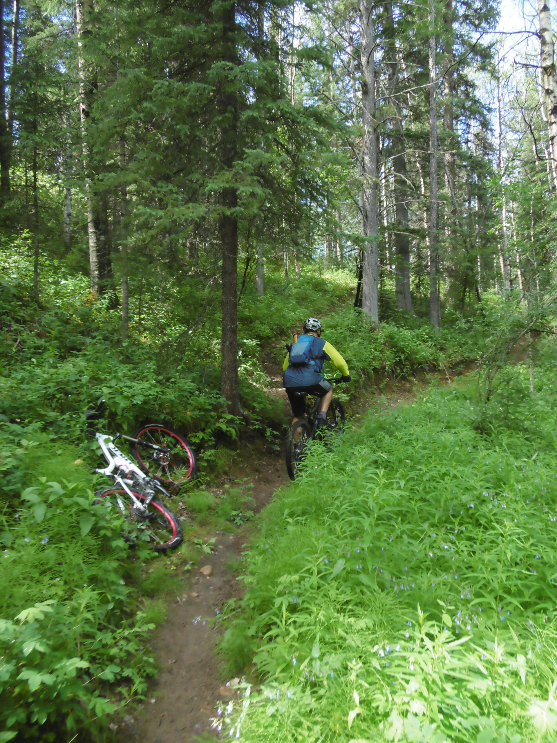 A person riding a mountain bike on a narrow trail through a lush, green forest, with tall trees and dense vegetation. A second bike is leaning against the brush beside the trail. Happy Creek Trail System mountain bike trail.