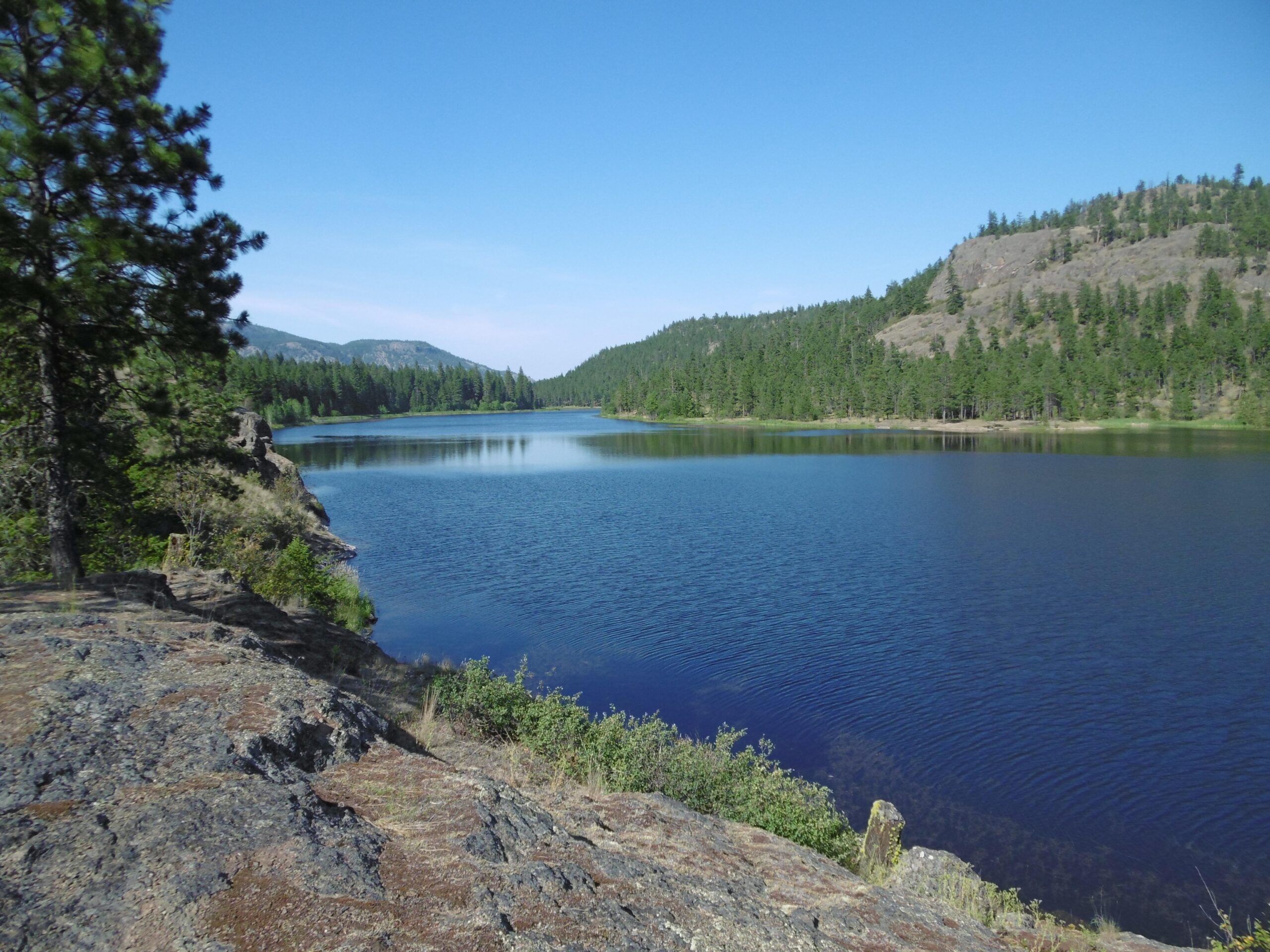 A serene landscape featuring a calm lake surrounded by lush greenery and hills under a clear blue sky. The rocky shoreline of the lake is visible in the foreground, leading into the still water that reflects the surrounding trees and mountains. Rose Valley Resevoir mountain bike trail.