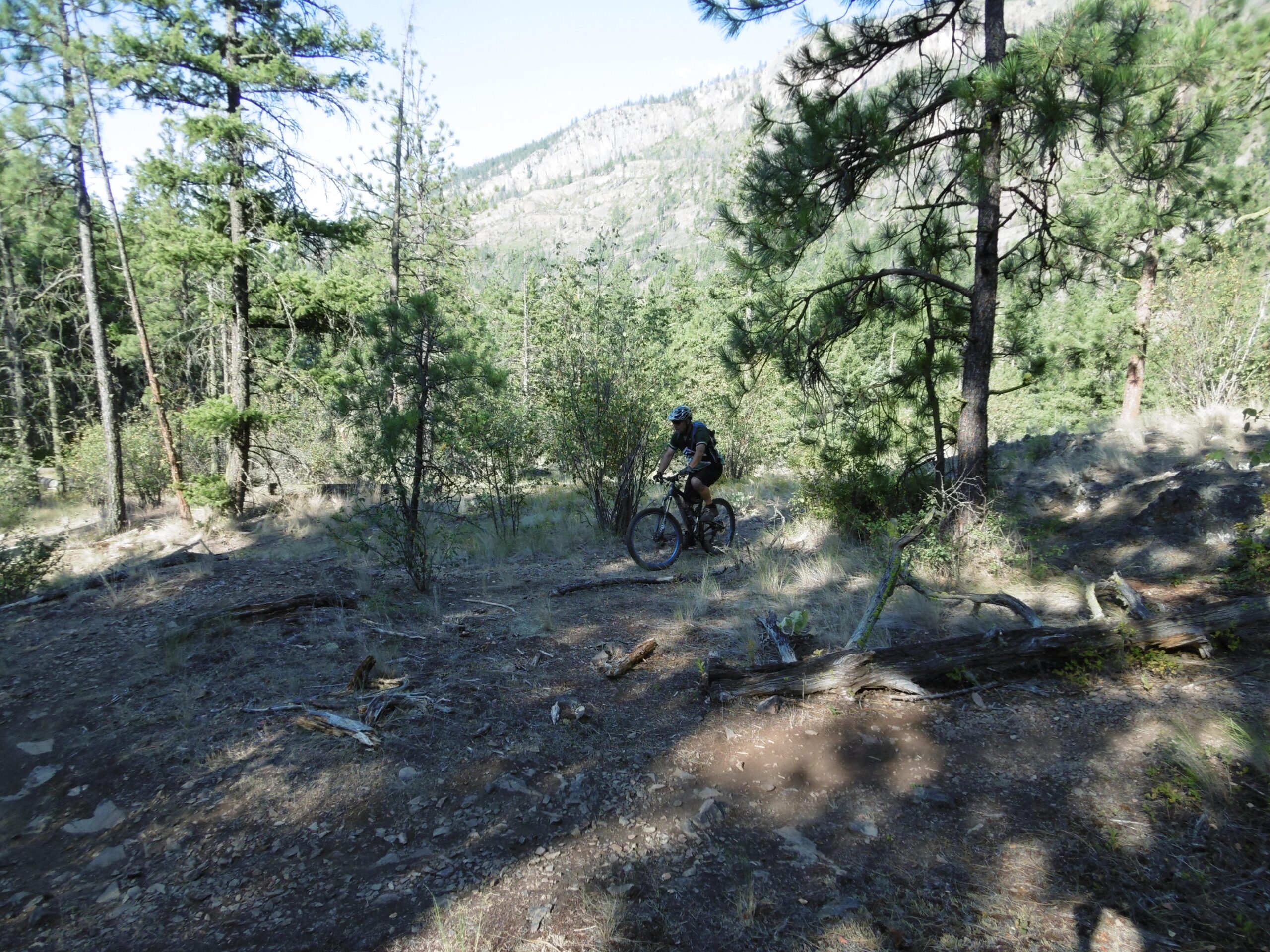 A person riding a mountain bike along a trail in a forested area, surrounded by tall trees and rocky terrain, with mountains visible in the background. Rose Valley Resevoir mountain bike trail.