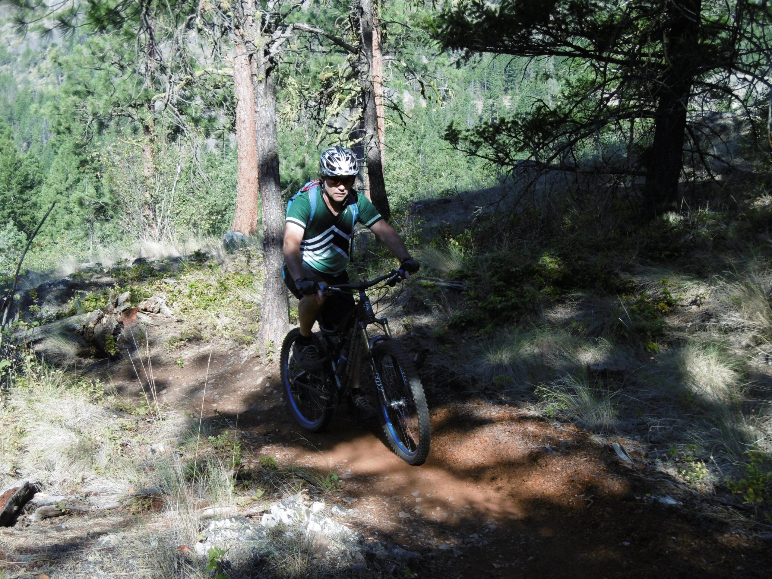 A mountain biker riding along a dirt trail surrounded by tall trees and greenery. The rider is wearing a helmet and a colorful striped shirt, navigating through a sunny forested area on a mountain bike. Rose Valley Resevoir mountain bike trail.