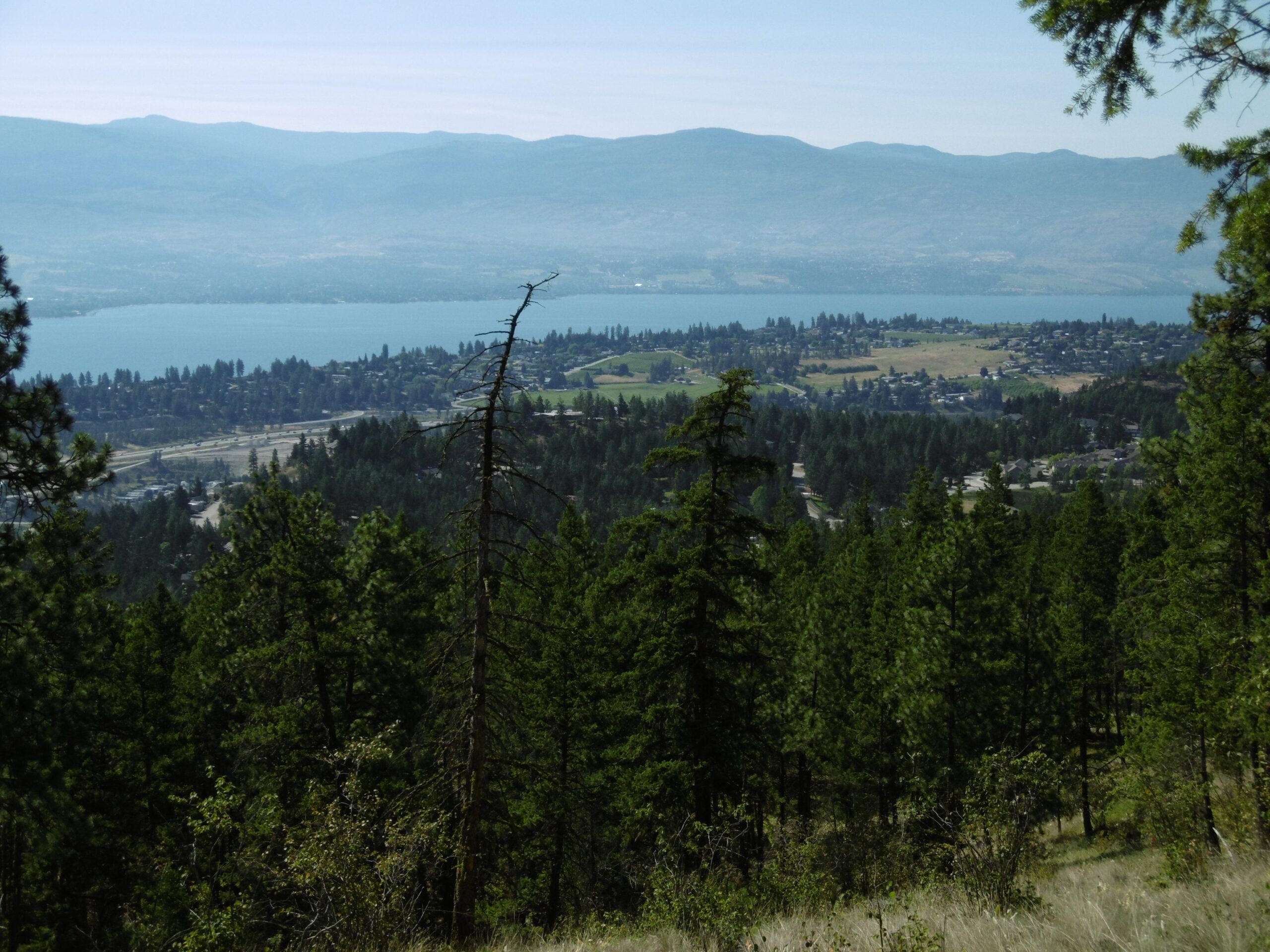 A panoramic view of a landscape featuring a lake surrounded by forests and mountains in the background. The foreground includes dense green trees, while the lake and nearby town are visible below, with rolling hills further in the distance under a clear blue sky. Rose Valley Resevoir mountain bike trail.