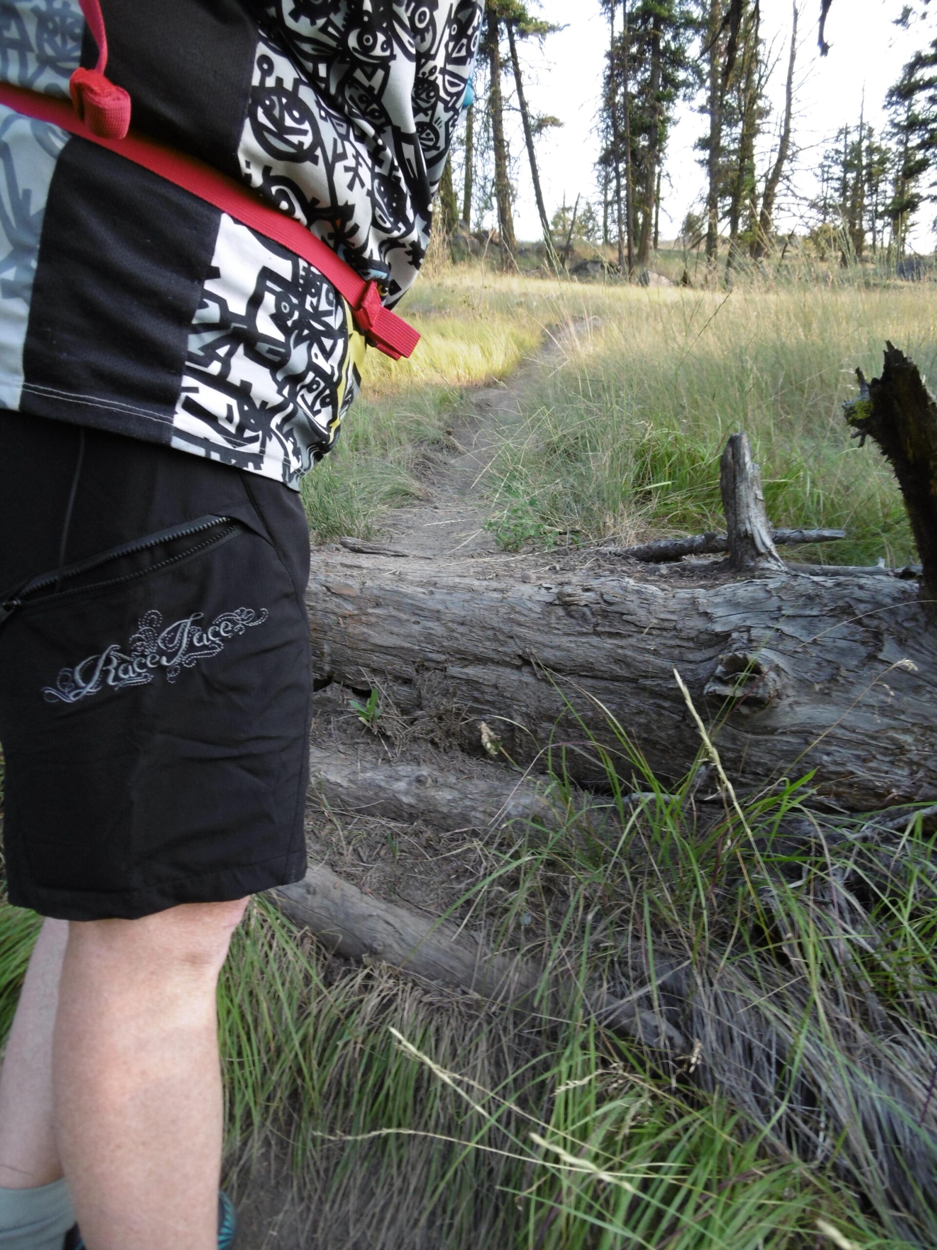 A close-up view of a person’s lower body wearing a patterned shirt and black shorts with a logo, standing on a dirt trail surrounded by tall grass and trees. A fallen log is in the foreground, indicating a natural outdoor setting. Pineview mountain bike trail.