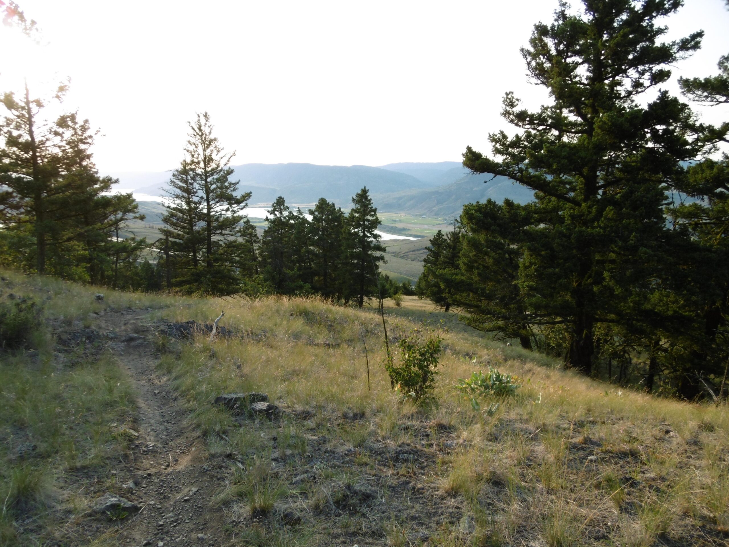 A scenic view of a hilly landscape with a winding dirt path, surrounded by tall evergreen trees. In the background, rolling hills and a river can be seen, bathed in soft sunlight, creating a tranquil outdoor atmosphere. Pineview mountain bike trail.