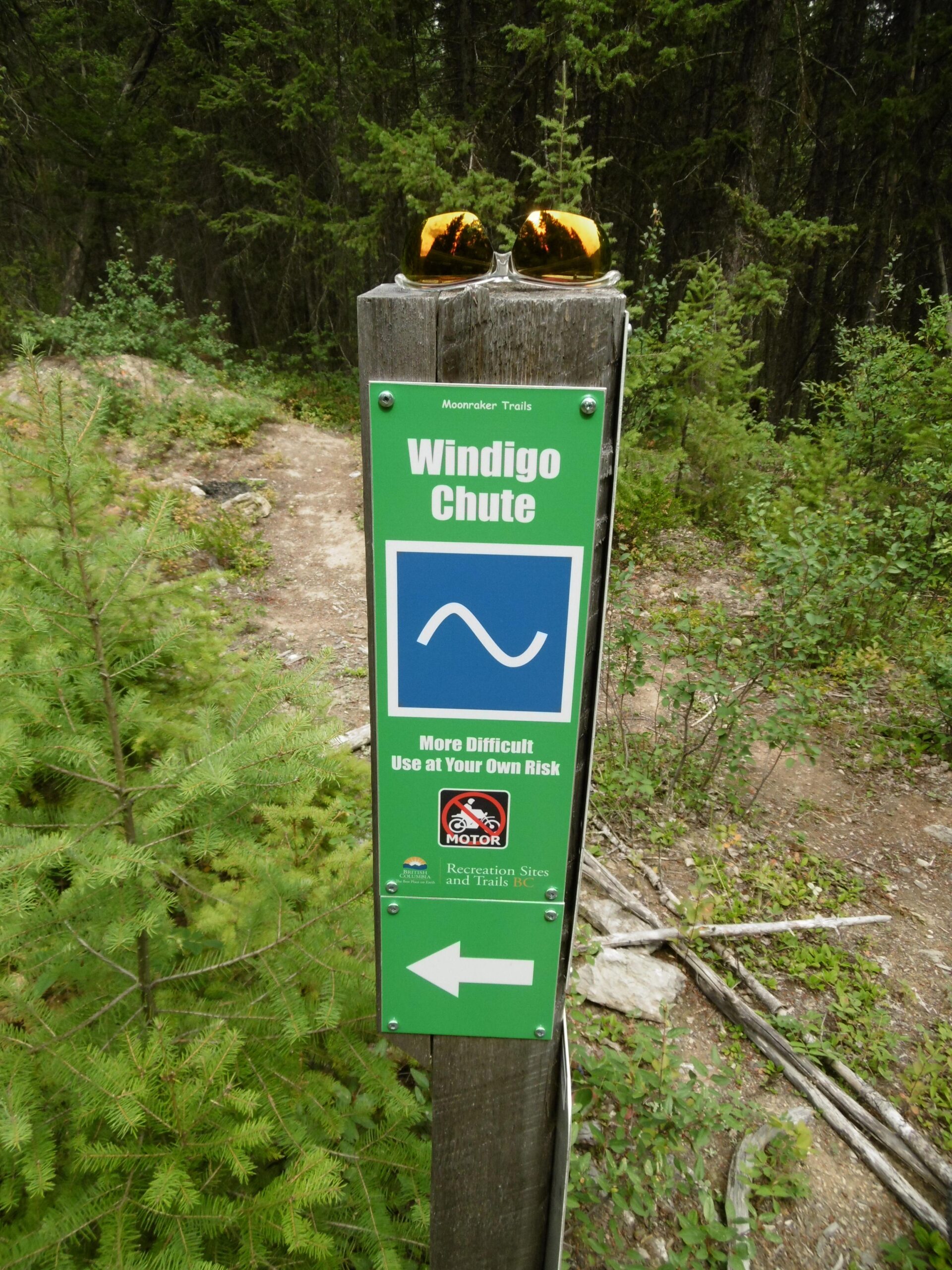 A green trail sign indicating "Windigo Chute" with a symbol representing a difficult trail. The sign reads "More Difficult Use at Your Own Risk" and features a no motor vehicles symbol. A pair of gold sunglasses rests on top of the sign, surrounded by dense green foliage and trees in the background. Moonraker Trails mountain bike trail.