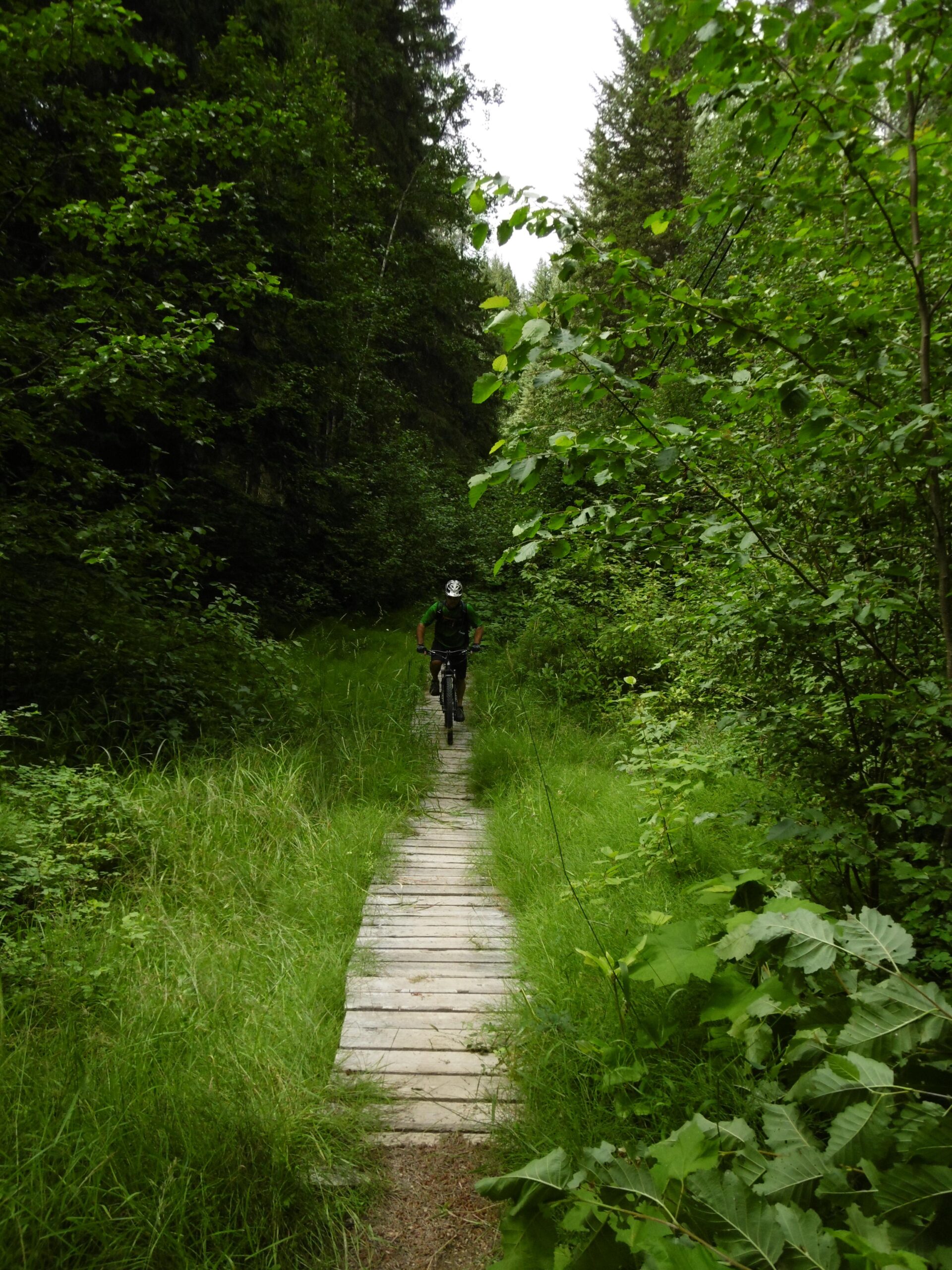 A cyclist riding along a narrow wooden pathway through a lush green forest, surrounded by tall trees and dense foliage. Moonraker Trails mountain bike trail.
