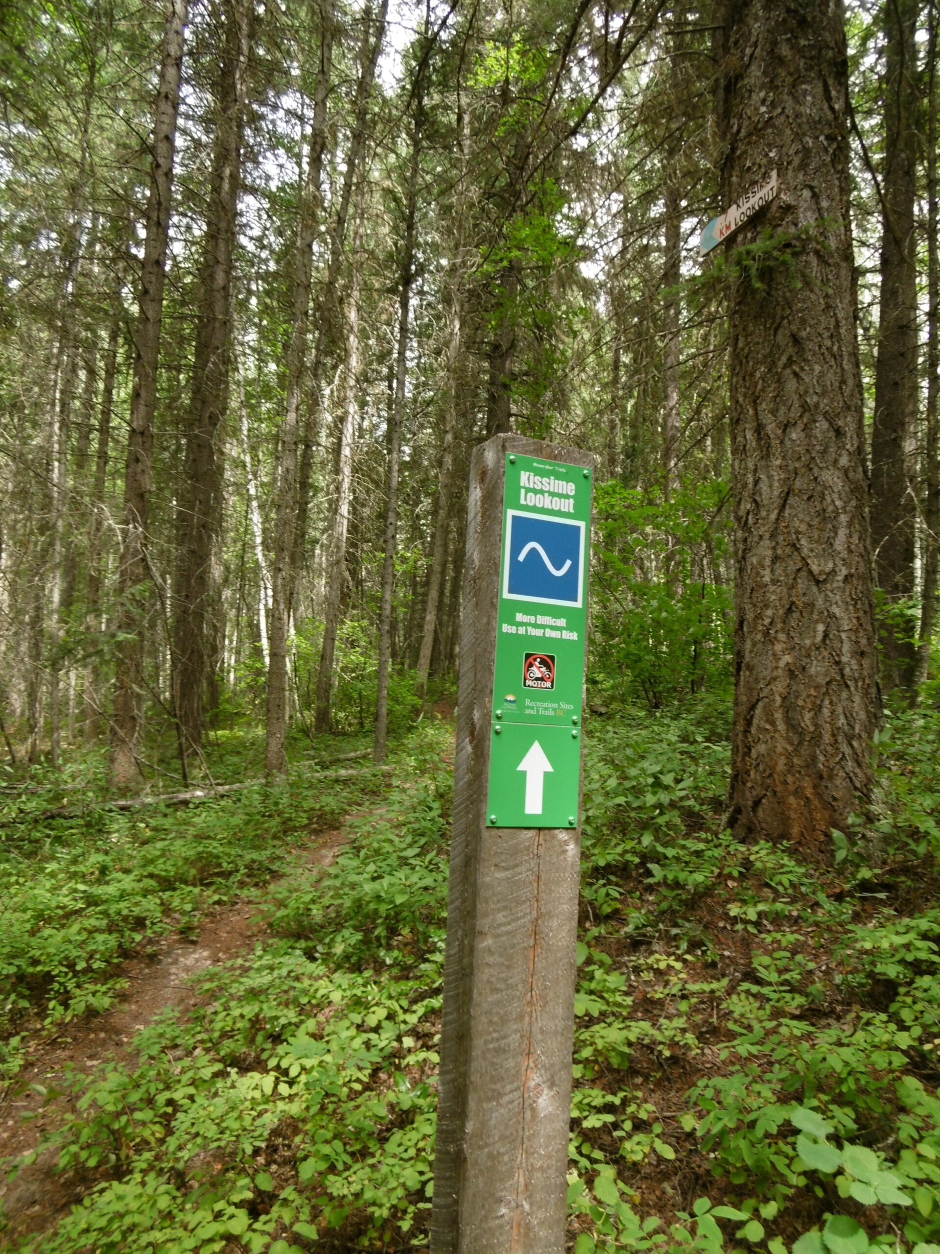 Trail sign for Kissime Lookout indicating a more difficult path, surrounded by dense forest and greenery. The sign features an icon representing elevation change, an arrow pointing the way, and a warning to use the trail at your own risk. Moonraker Trails mountain bike trail.