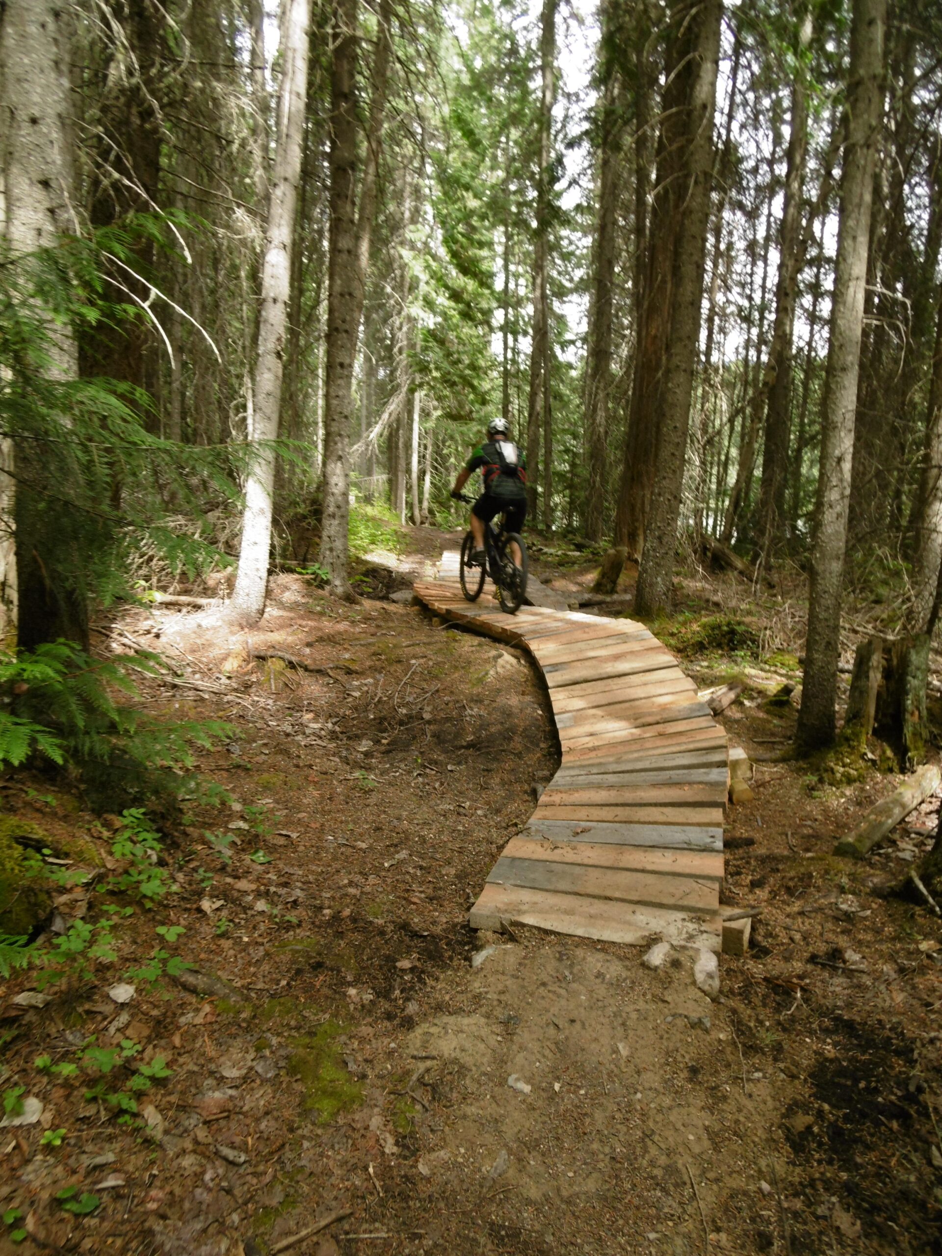 A mountain biker riding across a winding wooden pathway through a dense forest of tall trees. The trail is surrounded by greenery and natural foliage, showcasing a serene outdoor environment. Moonraker Trails mountain bike trail.