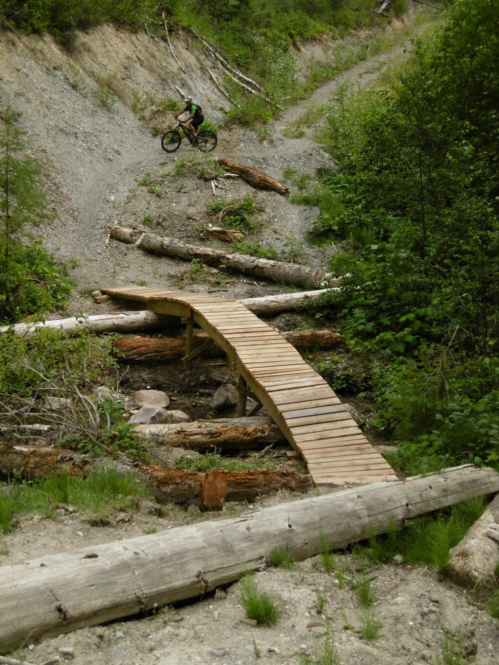 A mountain biker rides along a gravel trail in a forested area, crossing a wooden bridge that spans a small creek. The trail is surrounded by fallen logs and lush greenery, with a steep slope leading to the path. Moonraker Trails mountain bike trail.