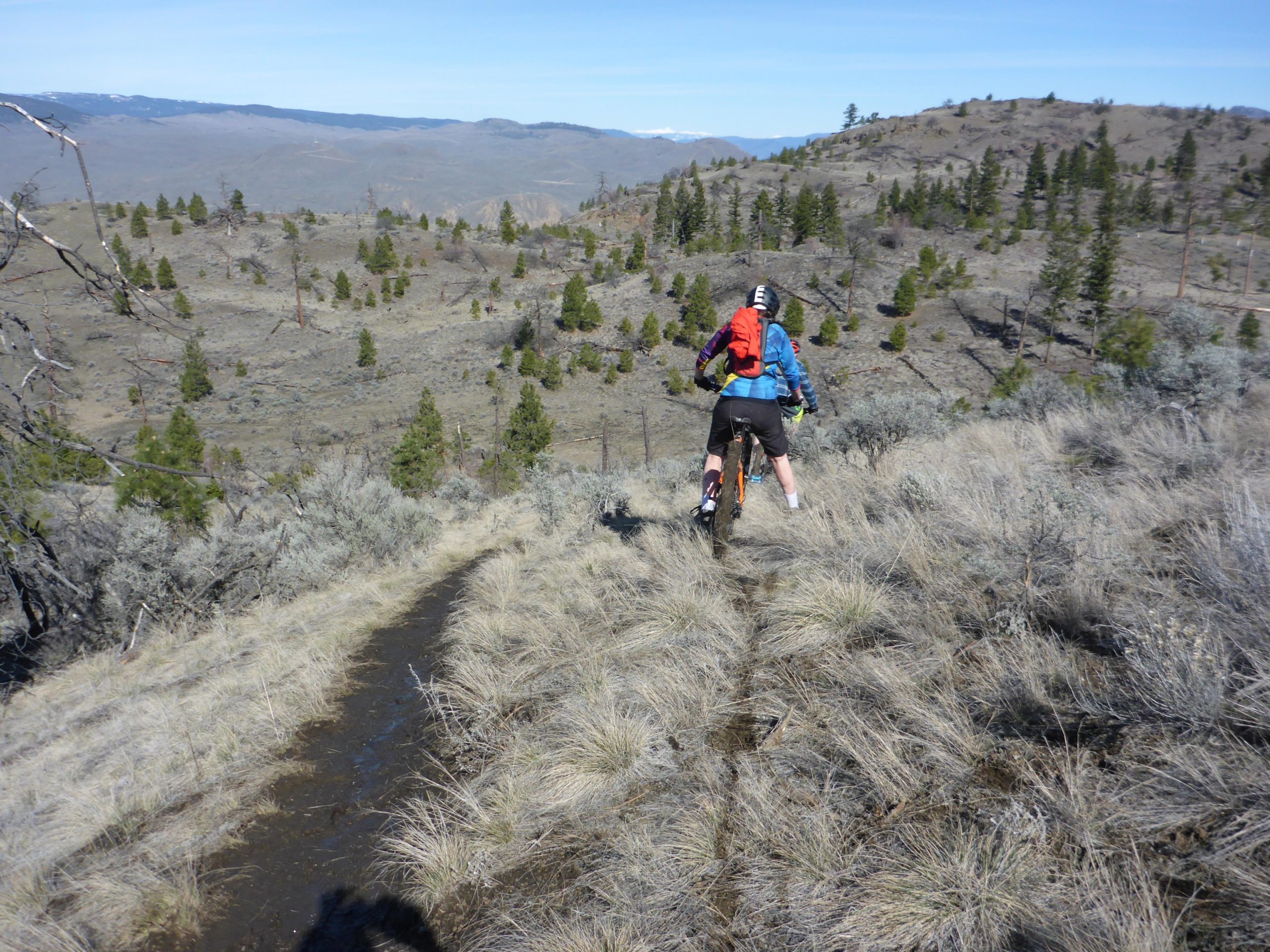 A mountain biker riding on a narrow dirt trail through a grassy landscape with sparse vegetation and scattered trees, surrounded by rolling hills and blue sky in the background. Kenna Cartwright Park mountain bike trail.