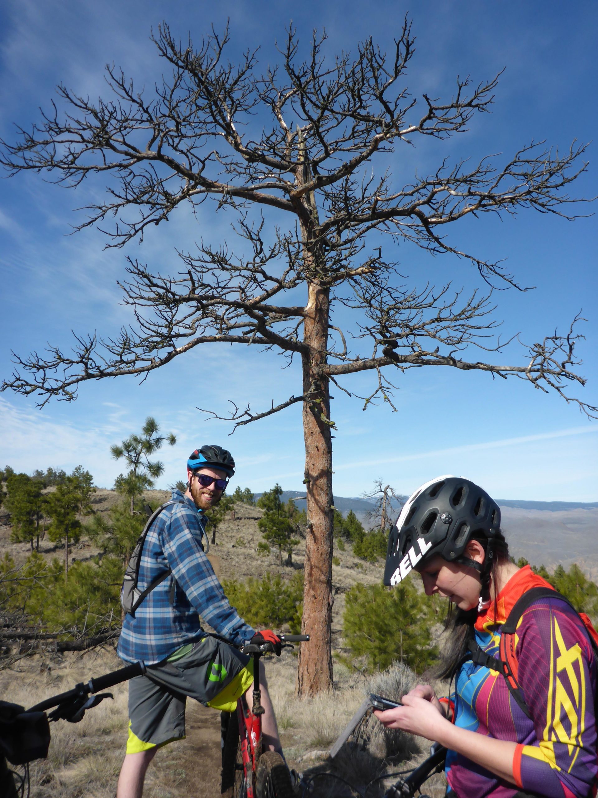 Two mountain bikers pause on a trail surrounded by sparse vegetation and rocky terrain. A tall, bare tree stands prominently in the background against a clear blue sky. One biker, wearing a plaid shirt, sunglasses, and cycling gear, smiles at the camera while leaning on a red bike. The other biker, dressed in colorful cycling apparel and a black helmet, is focused on their phone. Kenna Cartwright Park mountain bike trail.