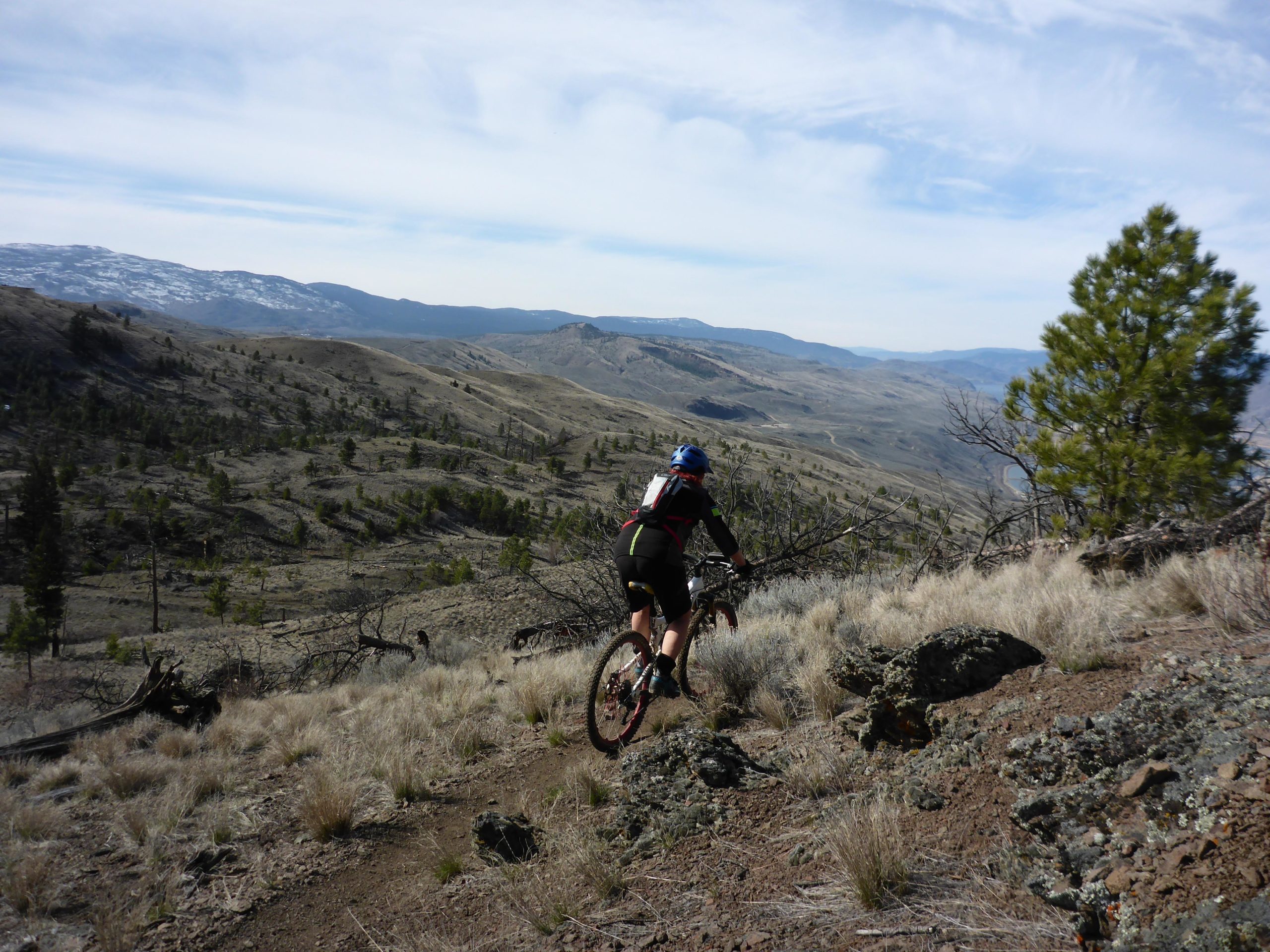 A mountain biker riding on a rugged trail through a hilly landscape, surrounded by sparse vegetation and rolling hills under a partly cloudy sky. Kenna Cartwright Park mountain bike trail.