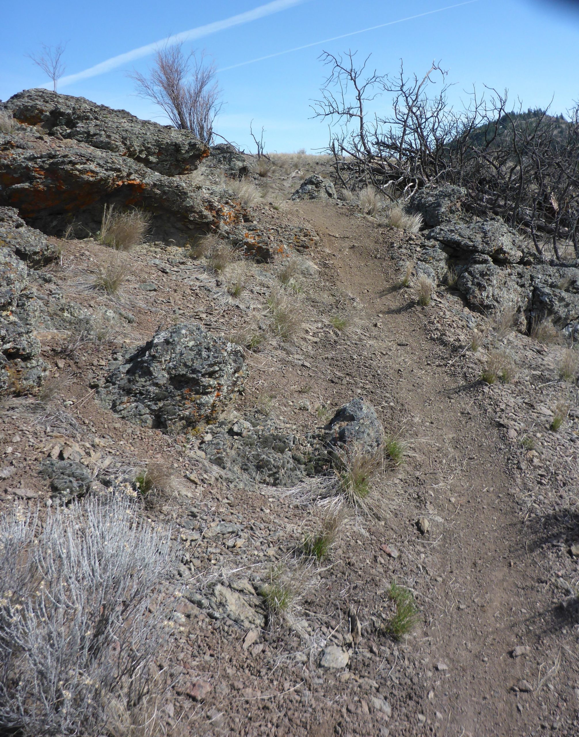 A narrow dirt path winding through rocky terrain, surrounded by sparse vegetation and dry grasses under a clear blue sky. Kenna Cartwright Park mountain bike trail.