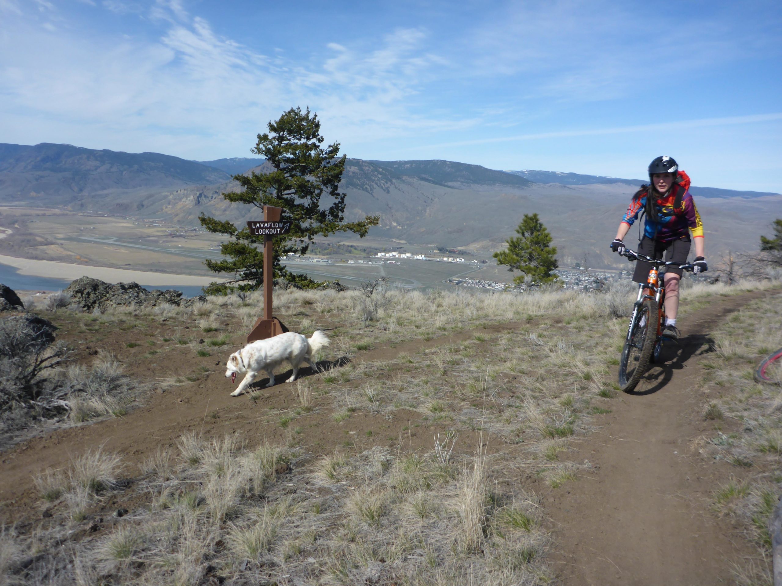 A mountain biker rides along a dirt trail with a dog walking nearby. In the background, there are rolling hills and a valley, with a sign indicating the direction to Lava Flow Lookout. The sky is clear with few clouds, and the landscape is open, featuring sparse grass and some trees. Kenna Cartwright Park mountain bike trail.