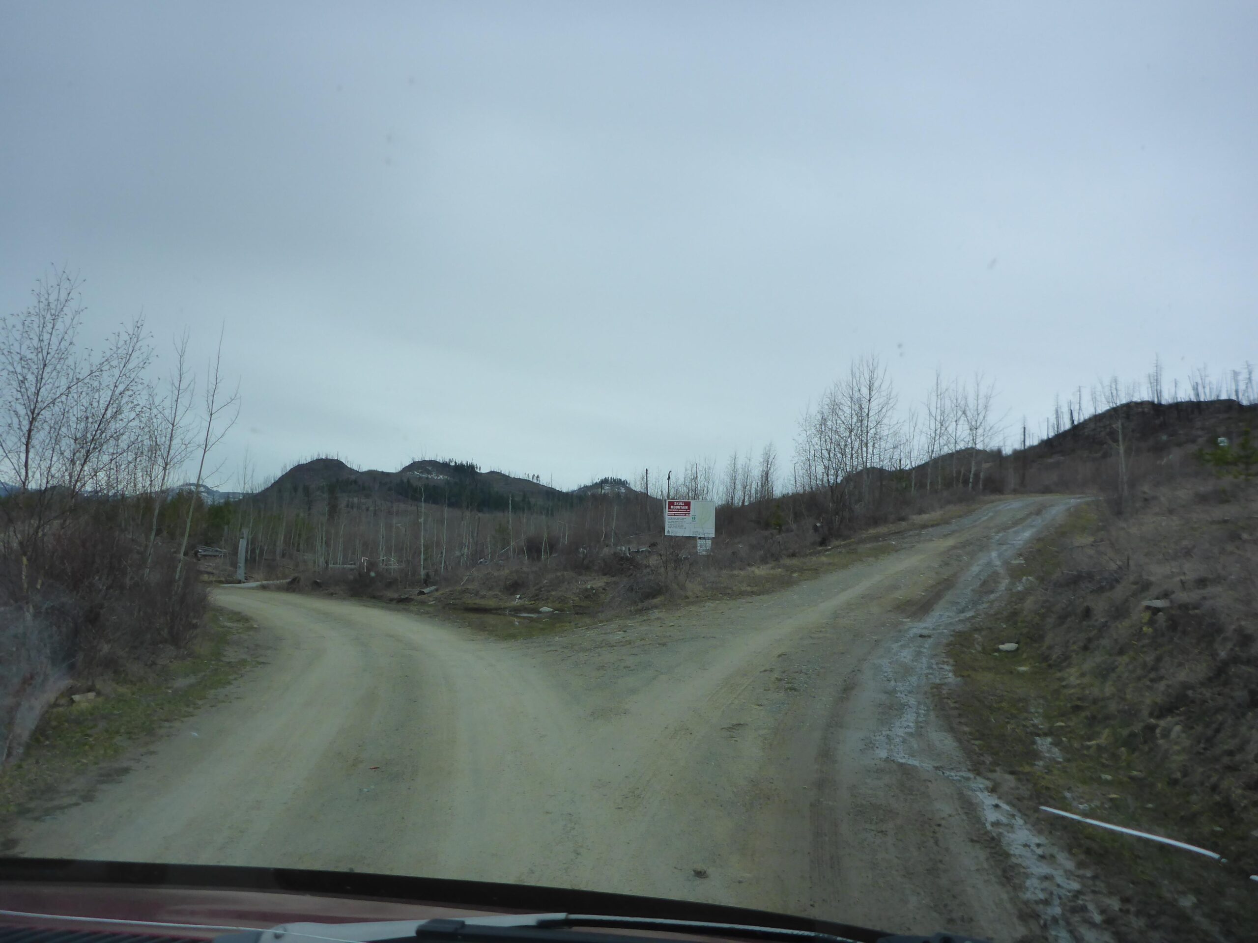 A view from inside a vehicle showing a fork in a dirt road surrounded by barren trees and mountains in the background under a cloudy sky. A sign is visible on the left side of the image. Bluegrouse Ridge Trail mountain bike trail.