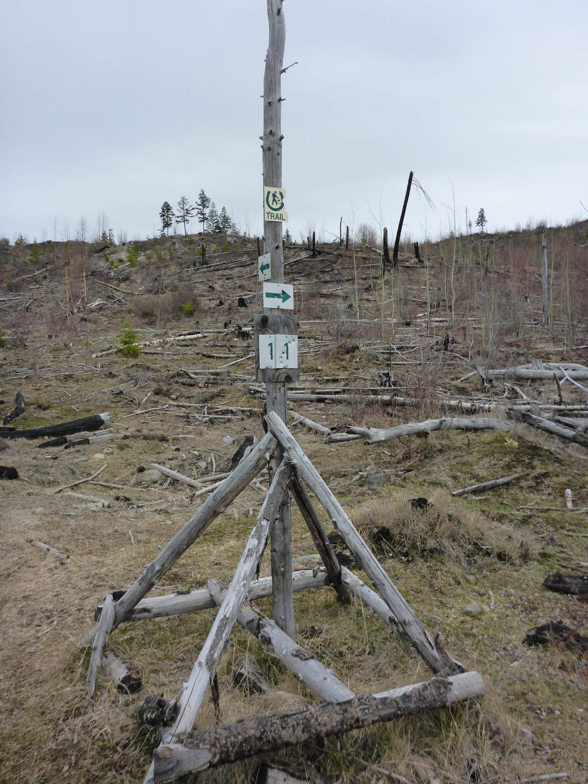 A weathered wooden post stands in a barren landscape, marked with signs indicating a hiking trail and directional arrows. The area shows signs of deforestation, with fallen trees and sparse vegetation under a cloudy sky. Bluegrouse Ridge Trail mountain bike trail.