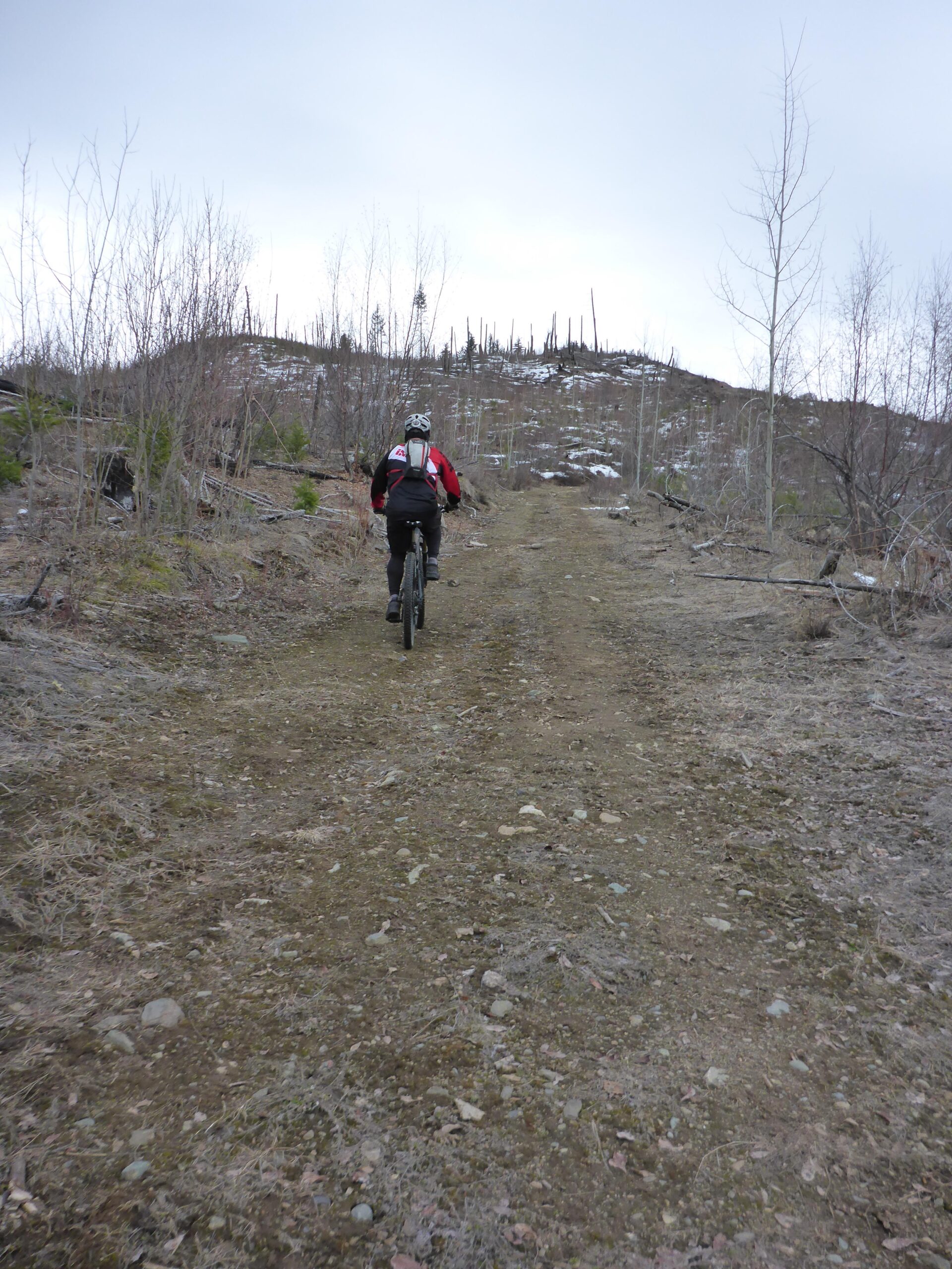 A mountain biker ascends a rugged, dirt trail surrounded by bare trees and rocky terrain, with a cloudy sky overhead. Snow is visible in patches on the hill in the background. Bluegrouse Ridge Trail mountain bike trail.
