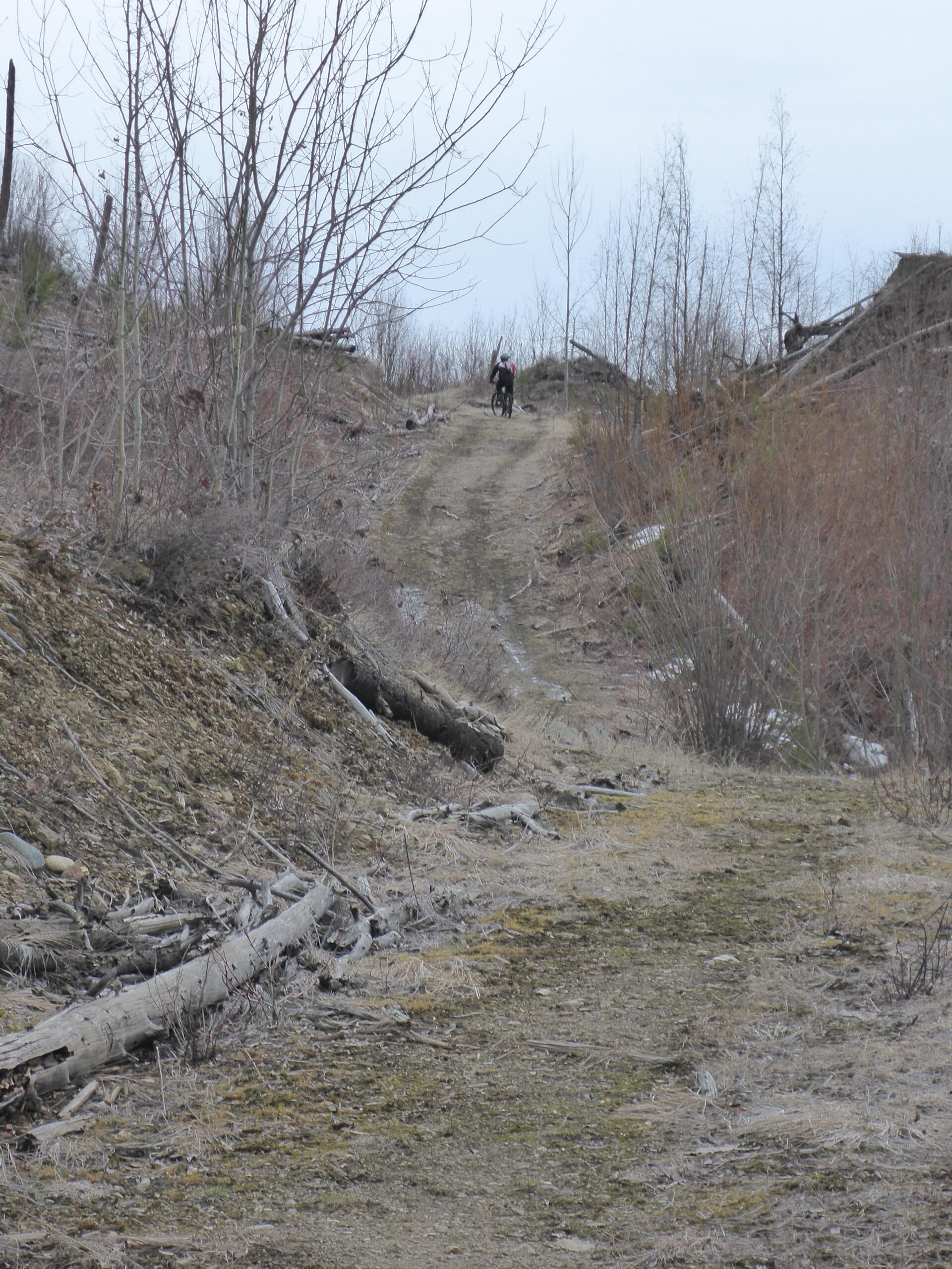 A cyclist riding along a dirt path through a barren landscape, surrounded by sporadic, leafless trees and fallen logs. The area appears recently cleared, with signs of logging visible in the background. The sky is overcast, contributing to a muted color palette. Bluegrouse Ridge Trail mountain bike trail.