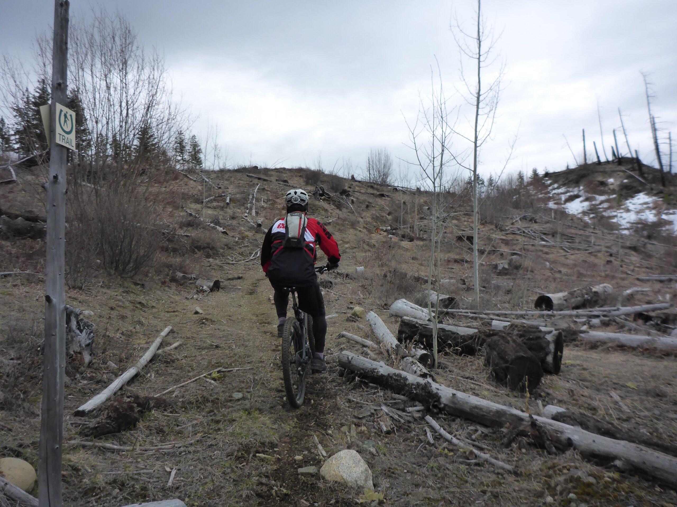 A person riding a mountain bike up a trail in a mountainous area, surrounded by logs and sparse vegetation. A trail sign is visible on the left, and the sky is overcast, hinting at a cool, possibly damp atmosphere. Bluegrouse Ridge Trail mountain bike trail.
