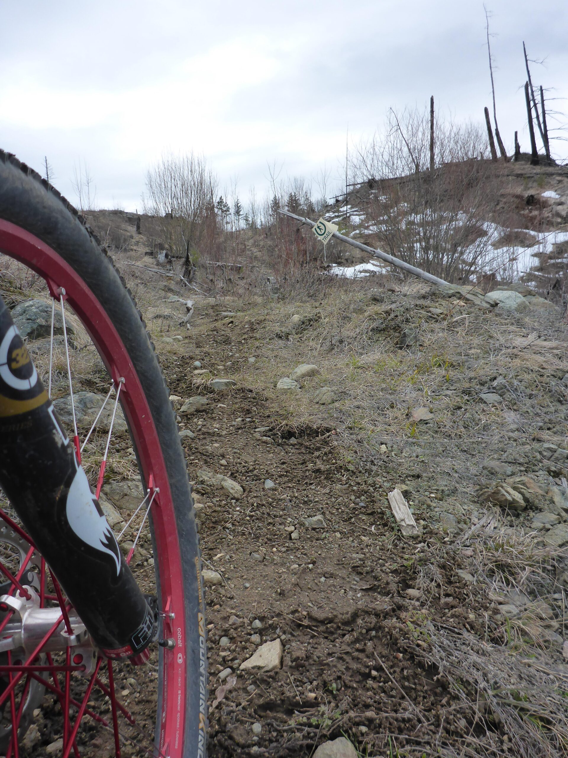 A close-up view of a mountain bike tire on a dirt trail, with rocky terrain and sparse vegetation. In the background, a hilly landscape is visible, with some barren trees and an overcast sky. Snow patches are scattered along the ground. Bluegrouse Ridge Trail mountain bike trail.