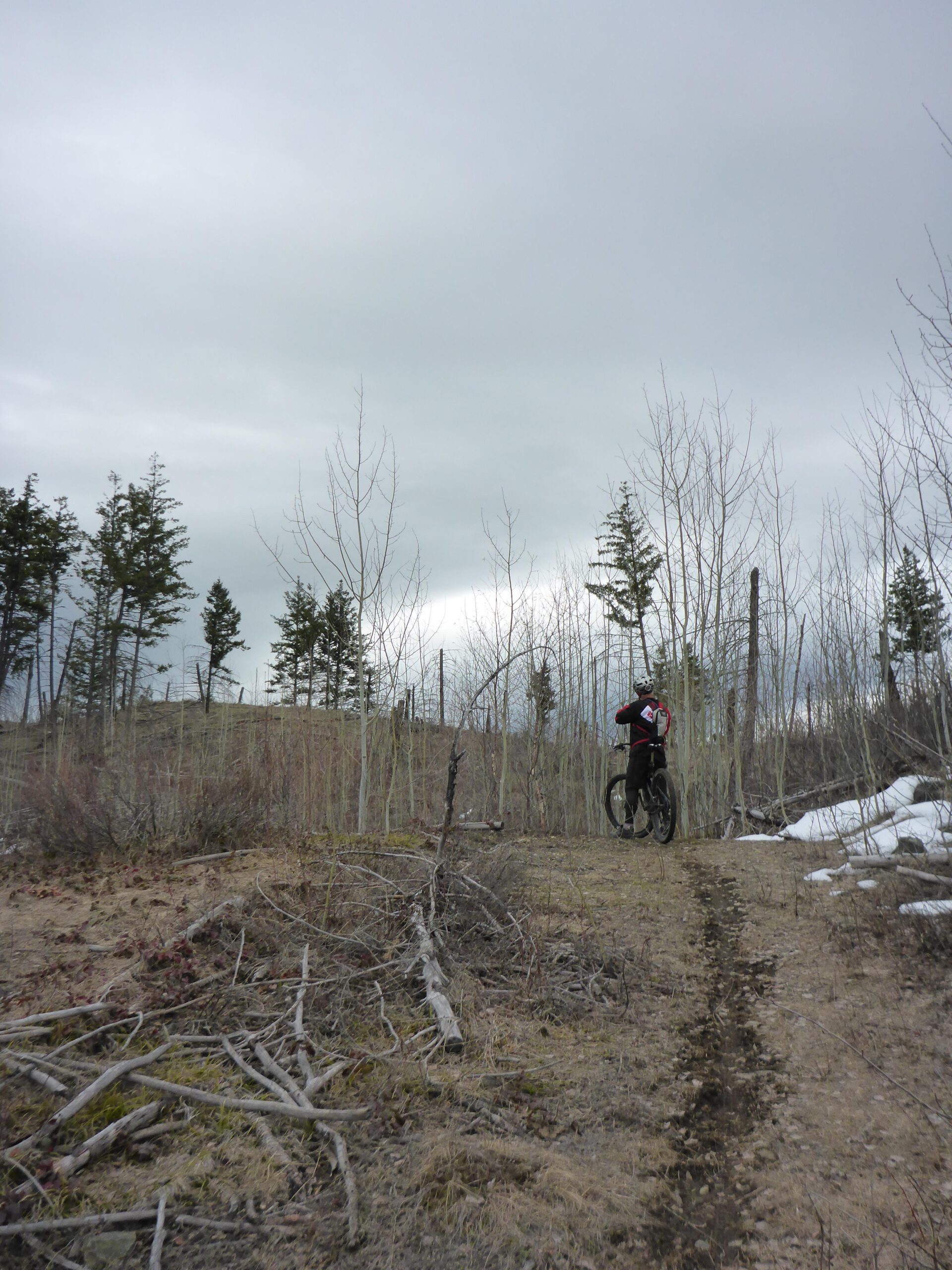 A mountain biker is riding on a dirt trail surrounded by sparse trees and scattered debris. The sky is overcast, creating a cool atmosphere, and patches of snow can be seen on the ground. Bluegrouse Ridge Trail mountain bike trail.