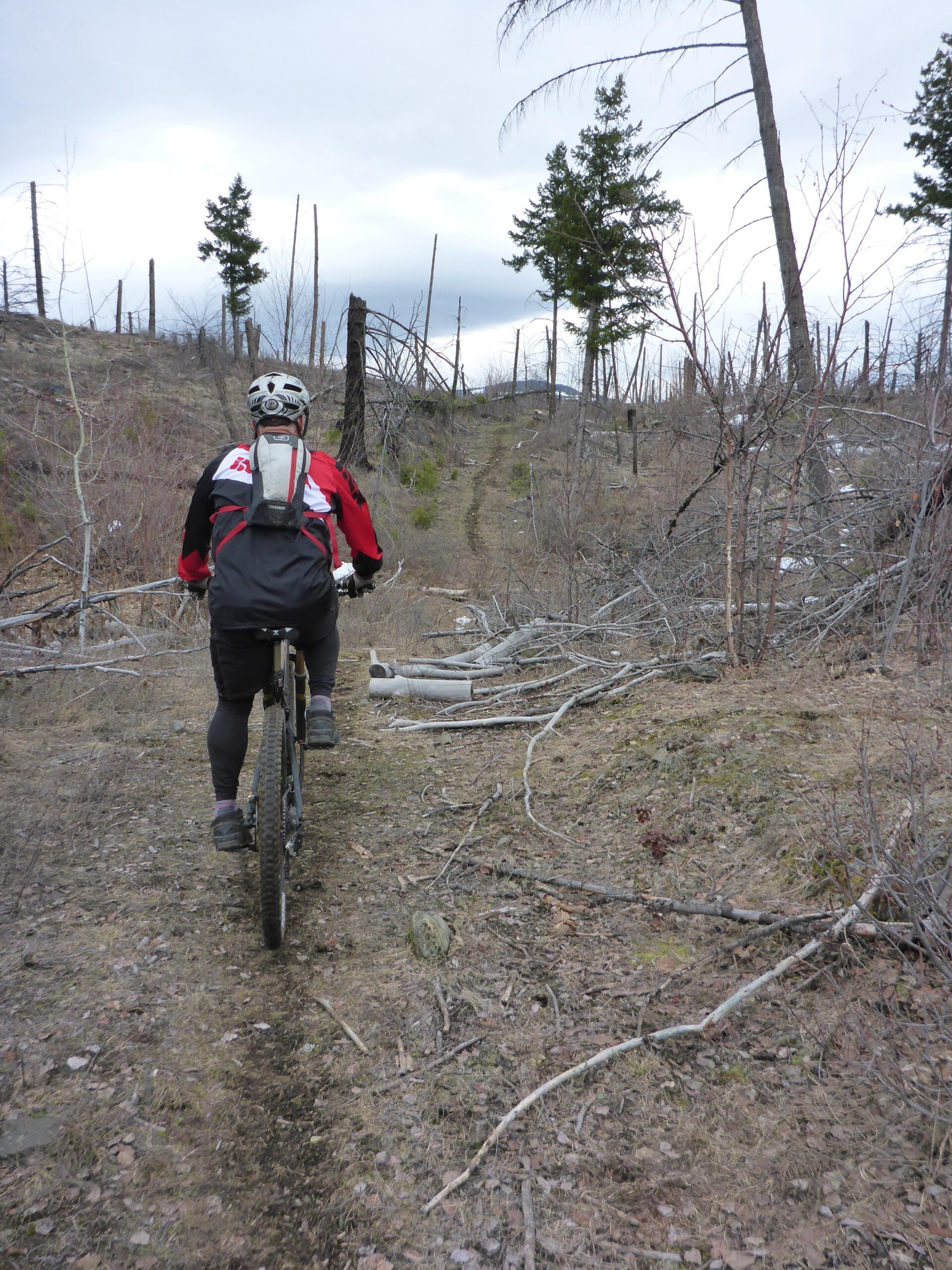 A mountain biker riding on a narrow, rugged trail surrounded by downed trees and sparse vegetation. The landscape features a mixture of dead trees and patches of green, with a cloudy sky above. Bluegrouse Ridge Trail mountain bike trail.