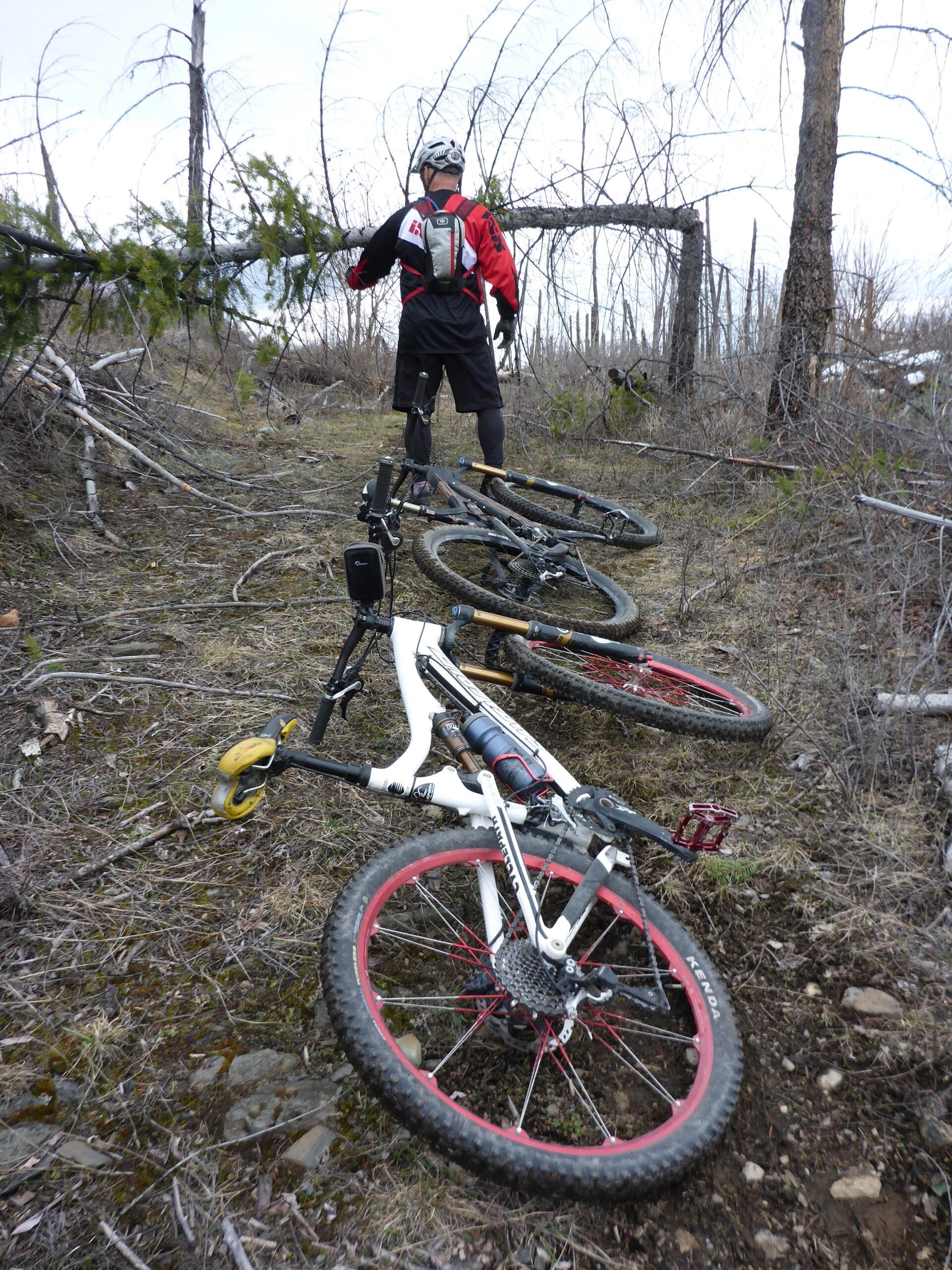 A mountain biker stands with their back to the camera, facing a fallen tree blocking a narrow trail. Two bicycles lie on the ground nearby, one predominantly white with red wheels, and the other black. The surrounding area is lightly forested with sparse trees and scattered underbrush, indicating a rugged outdoor environment. Bluegrouse Ridge Trail mountain bike trail.