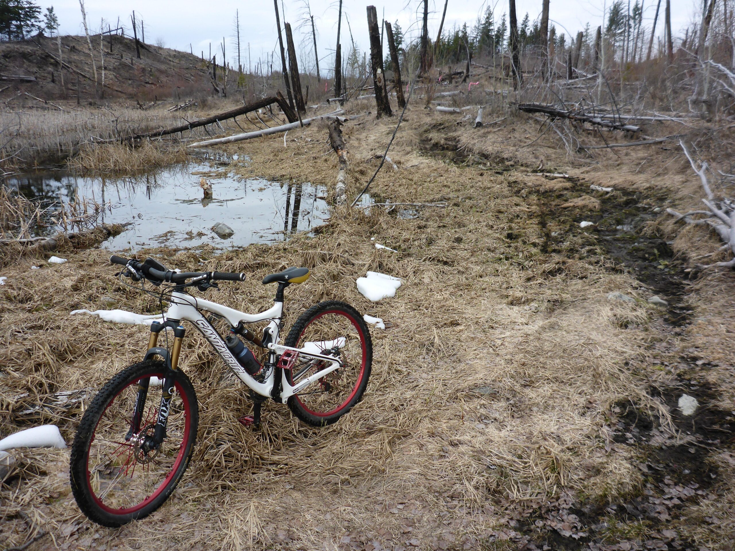 A mountain bike is parked on a grassy area next to a small pond, surrounded by a barren landscape with dead trees. The scene appears to be in a forested area recovering from fire damage, with patches of snow visible on the ground and cloudy skies overhead. Bluegrouse Ridge Trail mountain bike trail.
