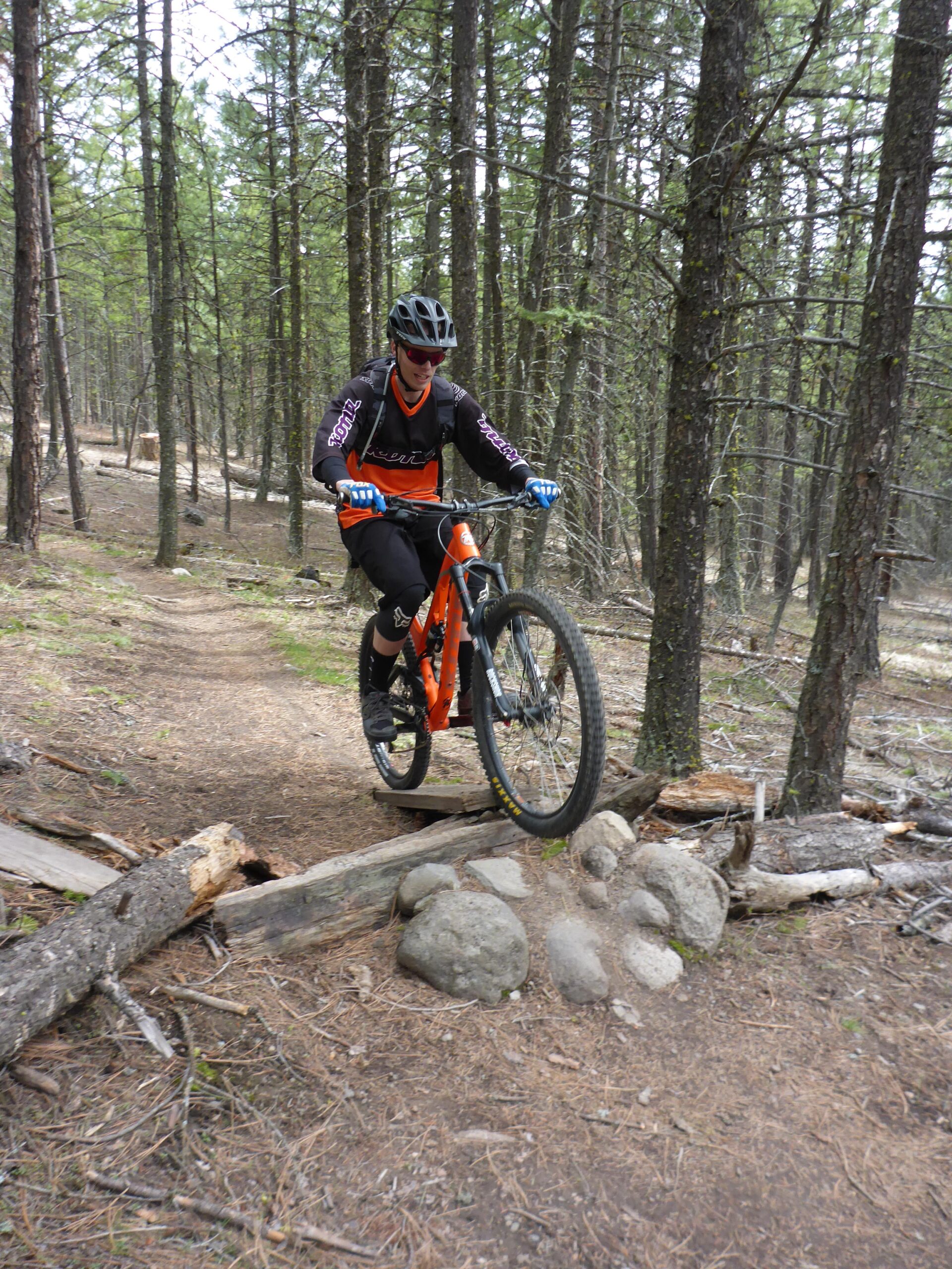 A mountain biker navigating a rocky trail in a forest, balancing on a log while riding an orange bike. The cyclist wears a helmet, sunglasses, and protective gear, surrounded by pine trees and a natural dirt path. Smith Creek mountain bike trail.