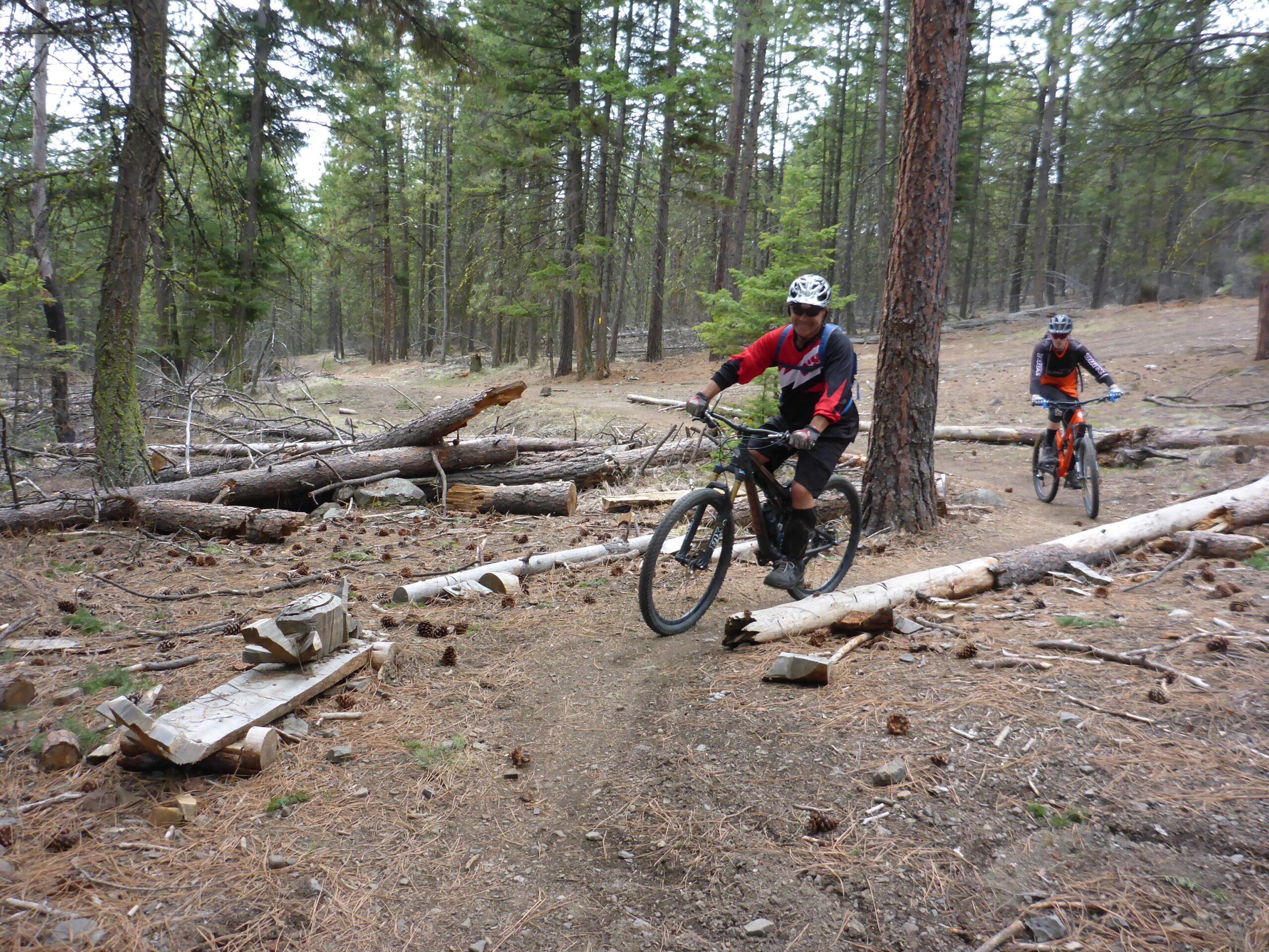 Two mountain bikers navigate a dirt trail through a forest. The path is lined with fallen logs and pine cones, and tall trees surround the area, creating a natural and lightly wooded environment. One biker, wearing a red and black jersey, leads the way, while another follows behind in an orange and black outfit. Smith Creek mountain bike trail.