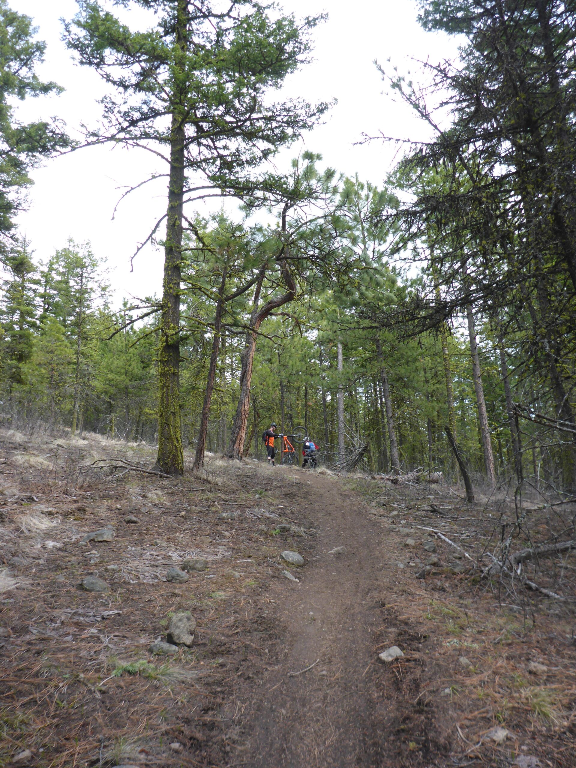 Two people walking along a dirt trail in a forest, carrying a bicycle. The path is surrounded by tall trees and sparse underbrush, with rocks scattered along the trail. Smith Creek mountain bike trail.