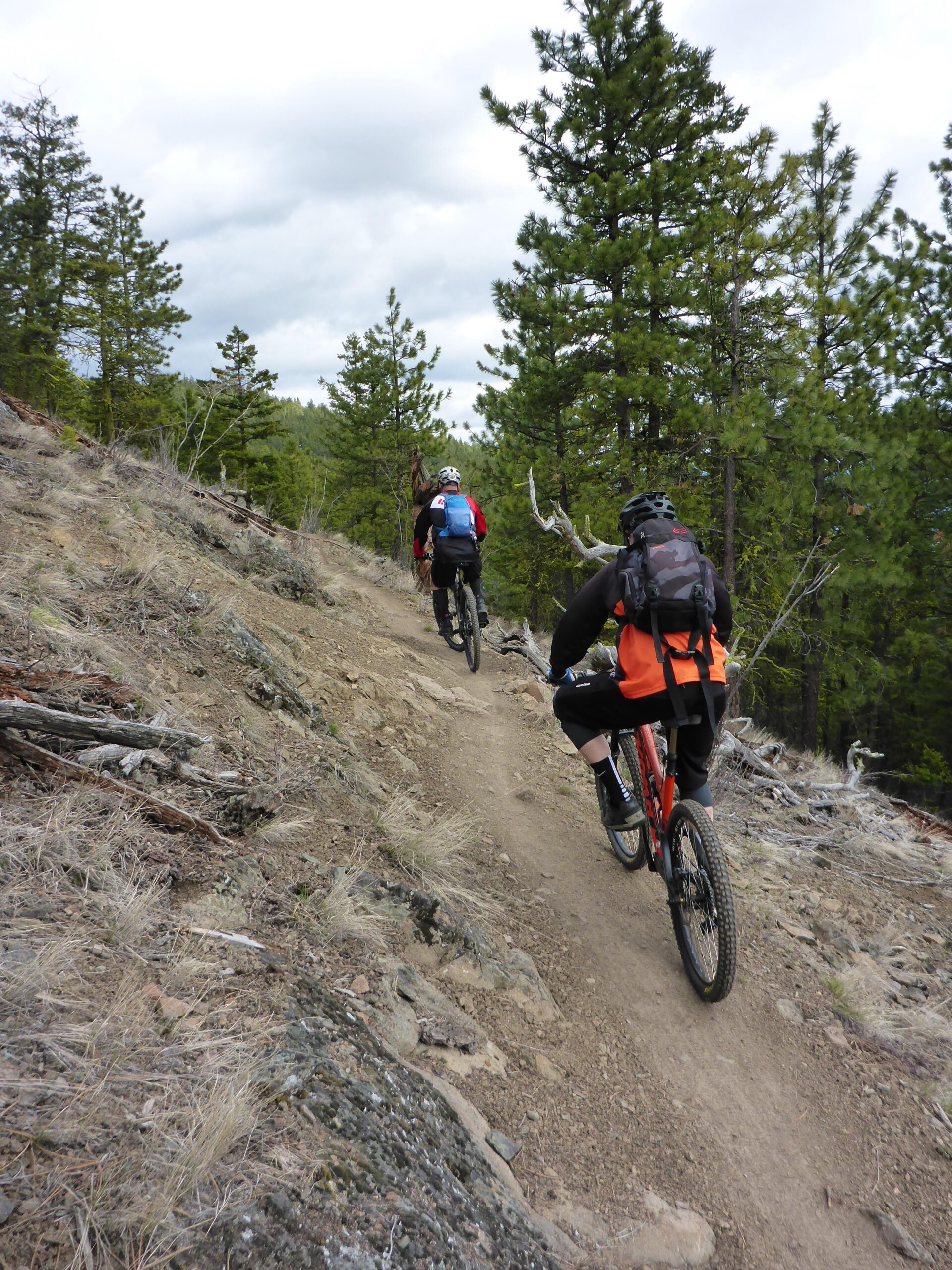 Two mountain bikers riding along a dirt trail surrounded by pine trees and rocky terrain, set under a cloudy sky. The first rider wears an orange vest, while the second rider is wearing a red and blue jersey. Smith Creek mountain bike trail.