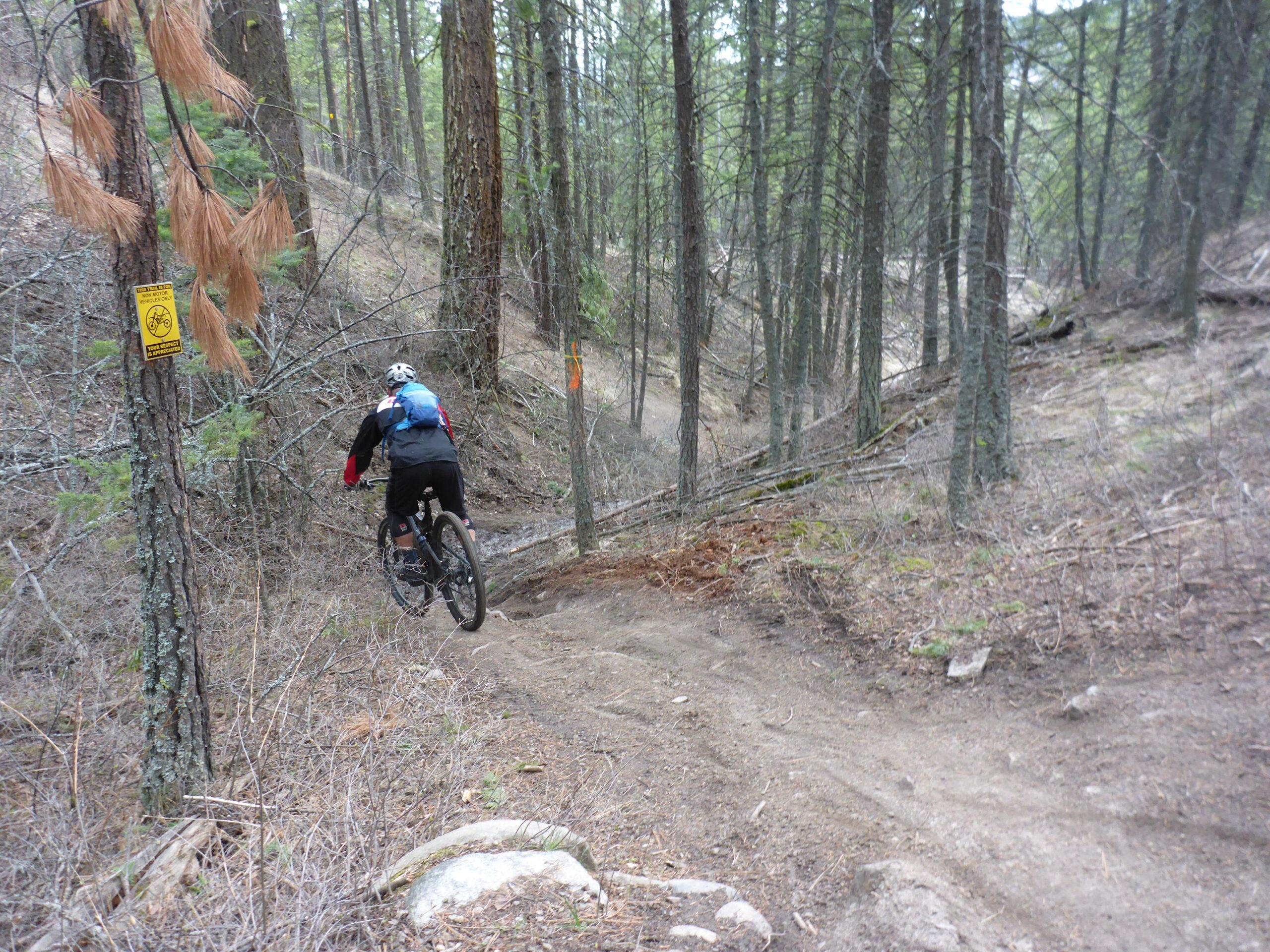 A mountain biker navigates a winding trail through a wooded area, with tall trees and sparse underbrush. A warning sign for cyclists is visible on a nearby tree, indicating the path is designated for mountain biking. The scene captures the rugged terrain and natural beauty of the forest. Smith Creek mountain bike trail.