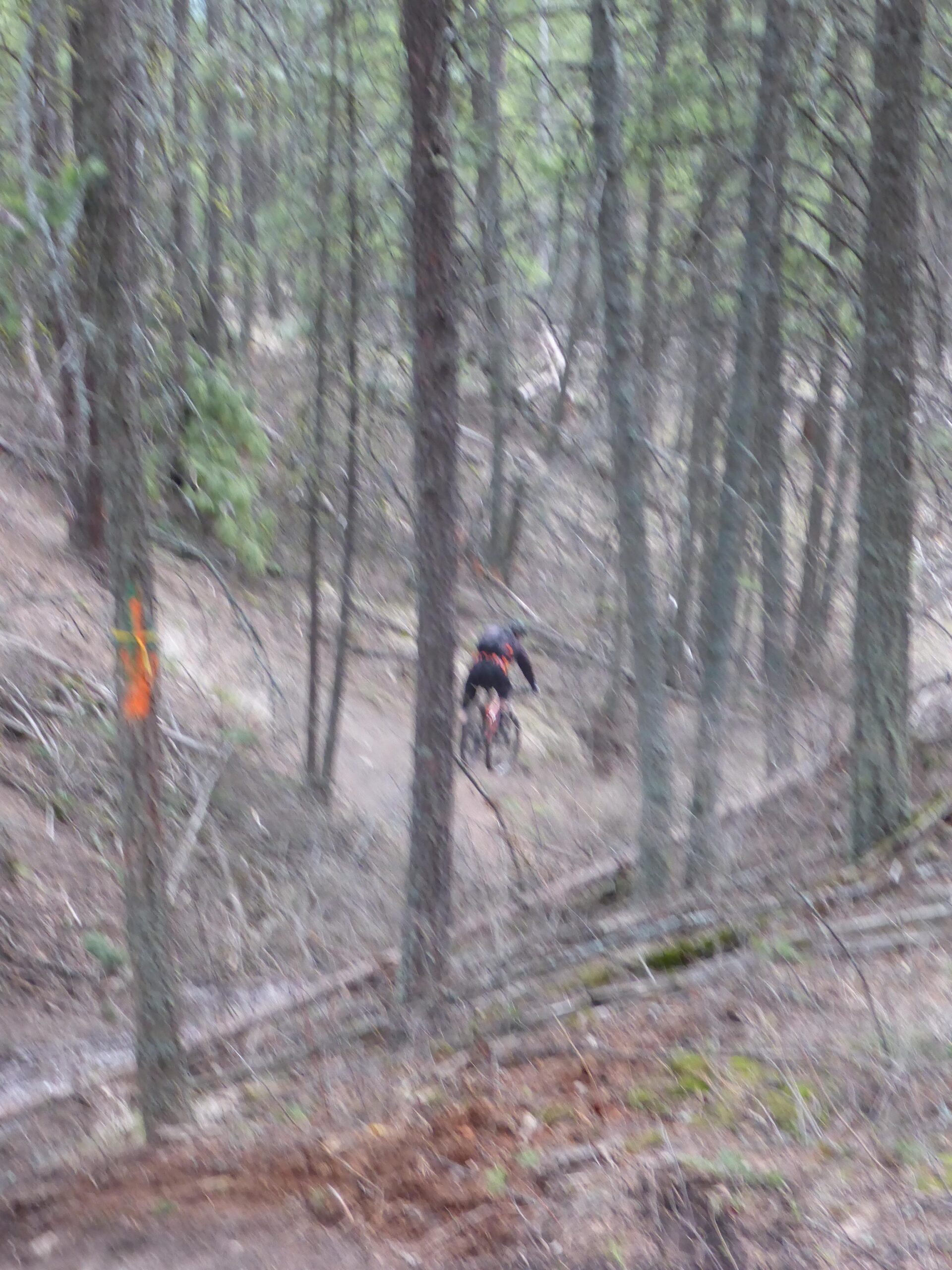 A blurred image of a mountain biker navigating a narrow trail through a dense forest, surrounded by trees and underbrush. An orange marker is visible on a nearby tree, indicating the bike path. Smith Creek mountain bike trail.