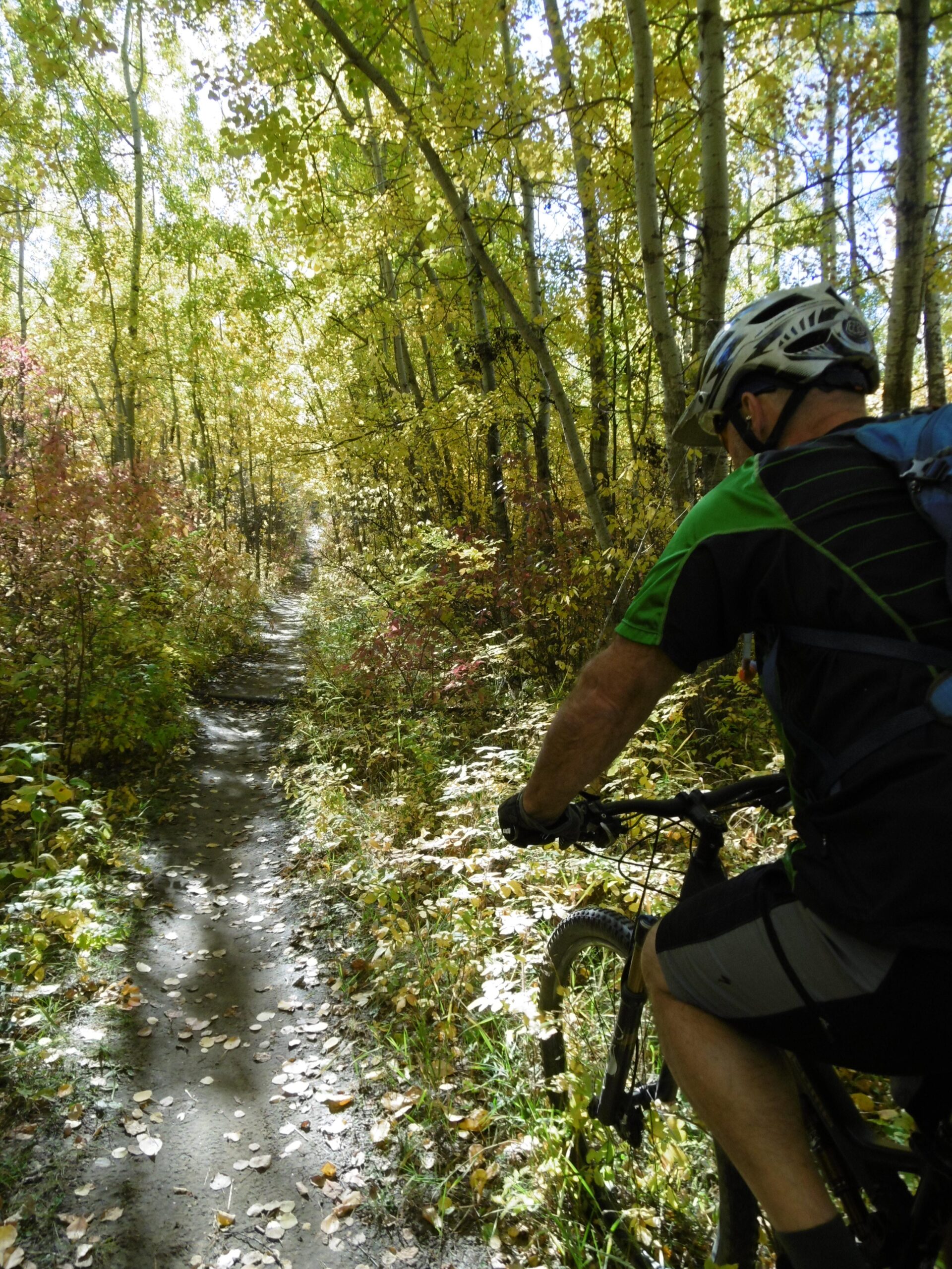 A person riding a mountain bike on a narrow trail surrounded by vibrant autumn foliage, including yellow and orange leaves, in a forest setting. Sunlight filters through the trees, creating a dappled effect on the path. Terwillegar Park mountain bike trail.