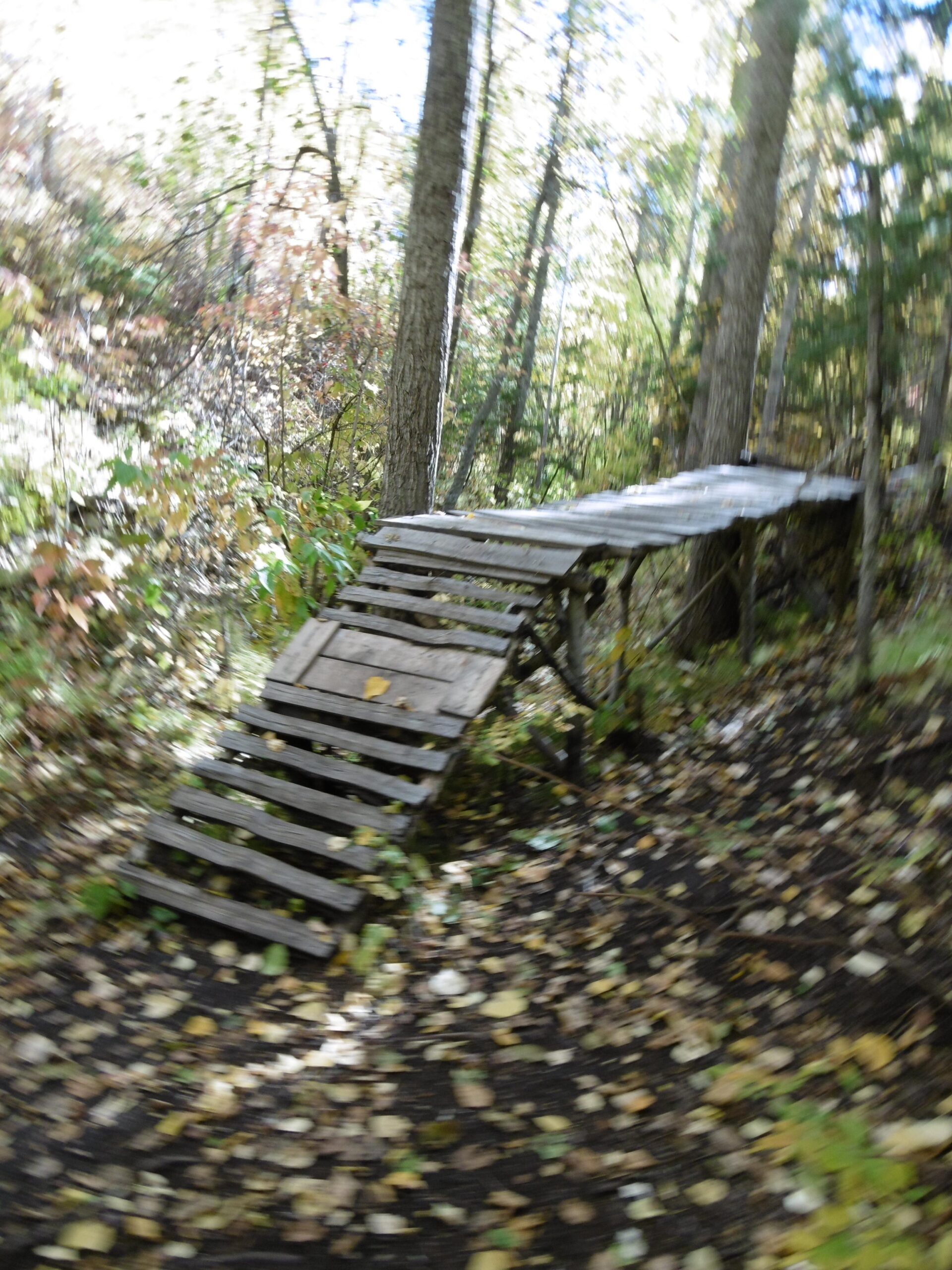 A blurred image of a wooden ramp leading into a wooded area, surrounded by trees and fallen leaves. The ramp is made of planks and appears to be weathered, suggesting it may be used for outdoor activities such as biking or hiking. The background features greenery and a mix of autumn colors, indicating a natural setting. Terwillegar Park mountain bike trail.