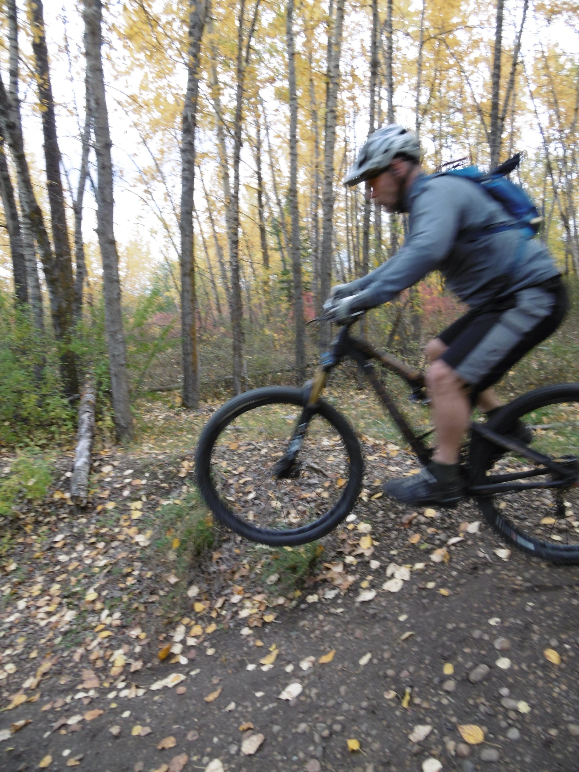 A mountain biker navigating a forest trail, jumping over a small bump while surrounded by trees and autumn foliage. Terwillegar Park mountain bike trail.