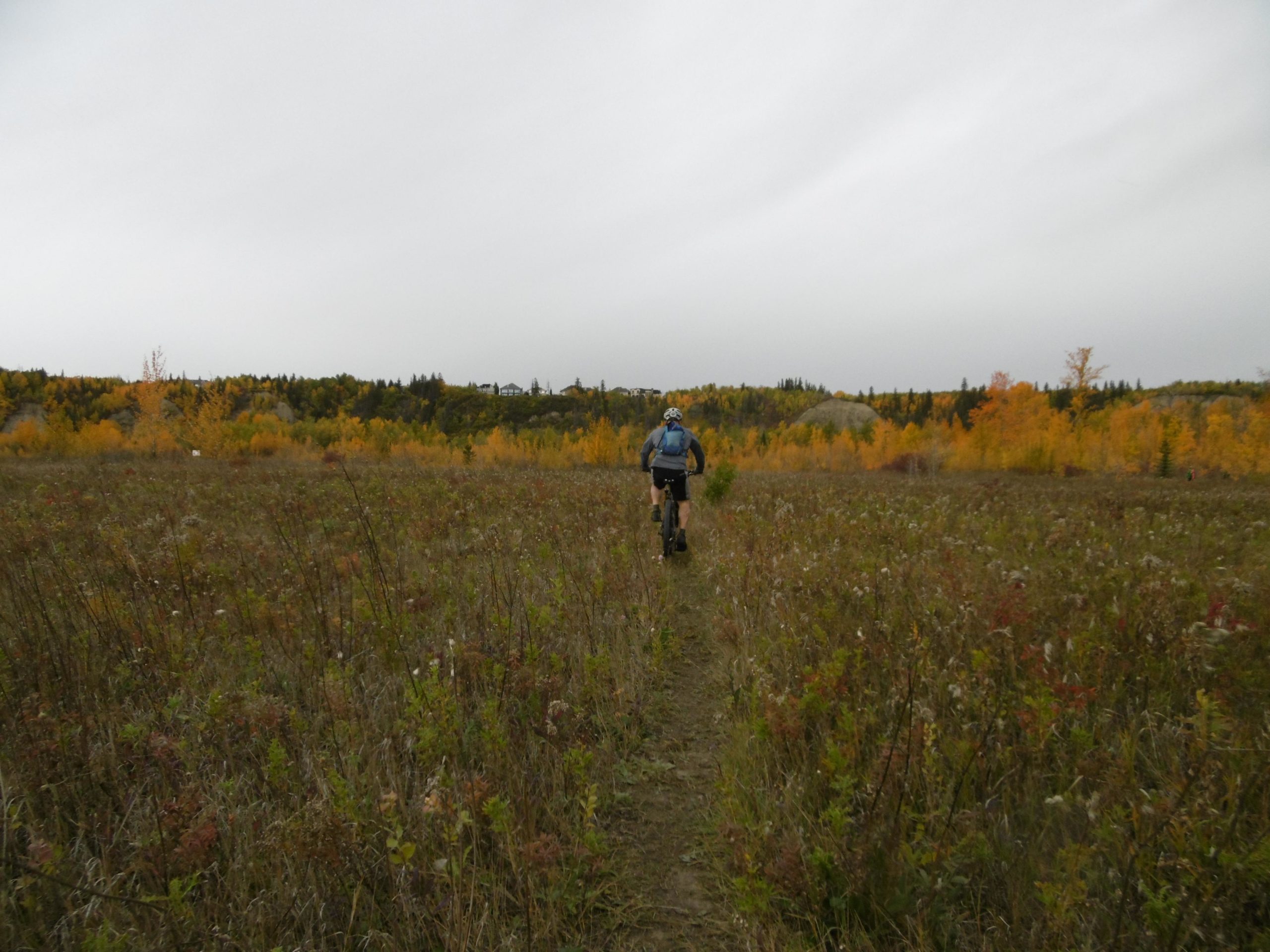 A person walking on a dirt path through a grassy field surrounded by colorful autumn foliage, with trees displaying shades of yellow and green in the background under a gray sky. Terwillegar Park mountain bike trail.