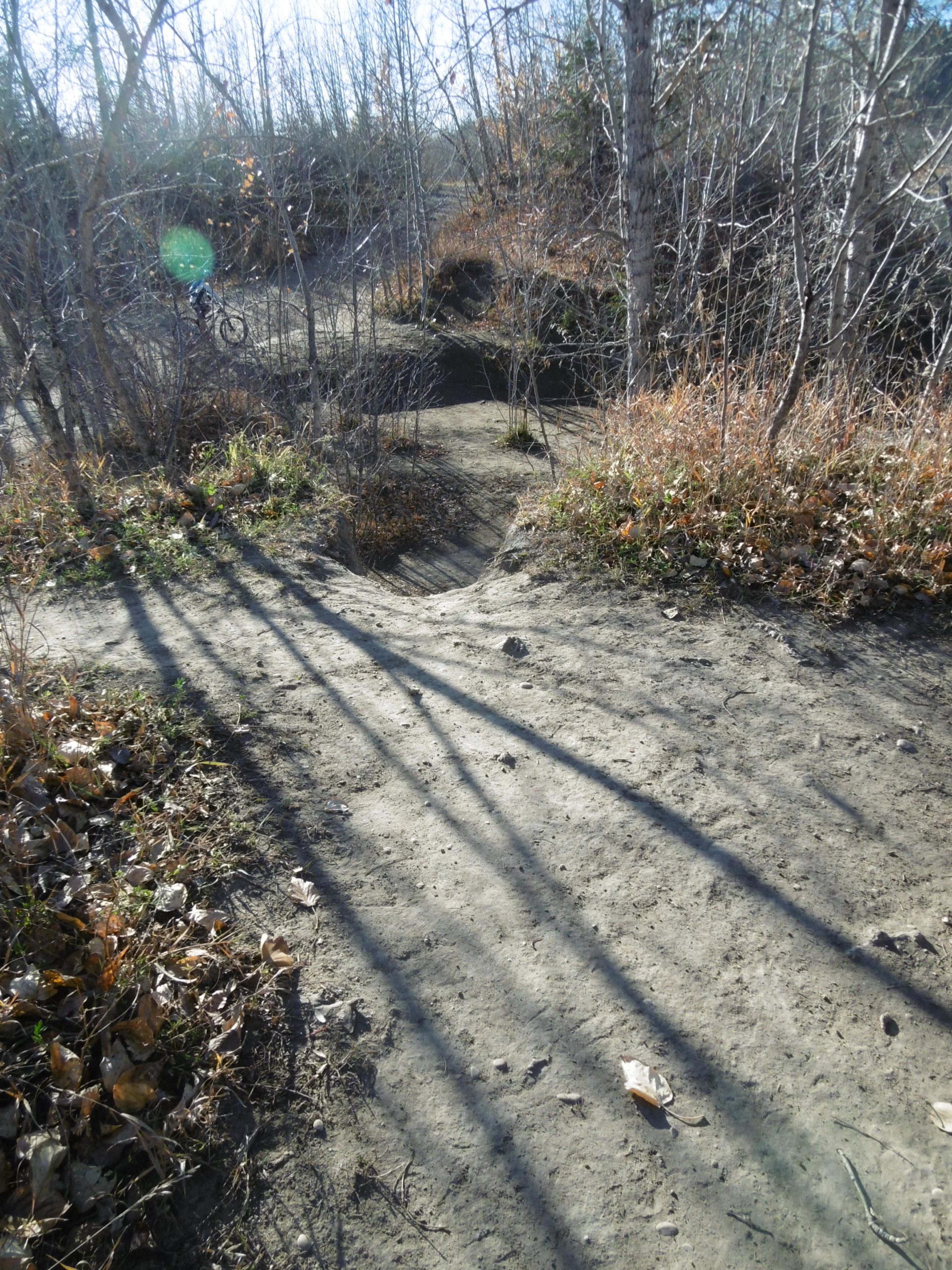 A dirt path winding through a forested area, with sparse trees and fallen leaves scattered along the ground. The scene is illuminated by sunlight, casting long shadows across the trail. In the background, a mountain biker can be seen navigating the terrain. Terwillegar Park mountain bike trail.