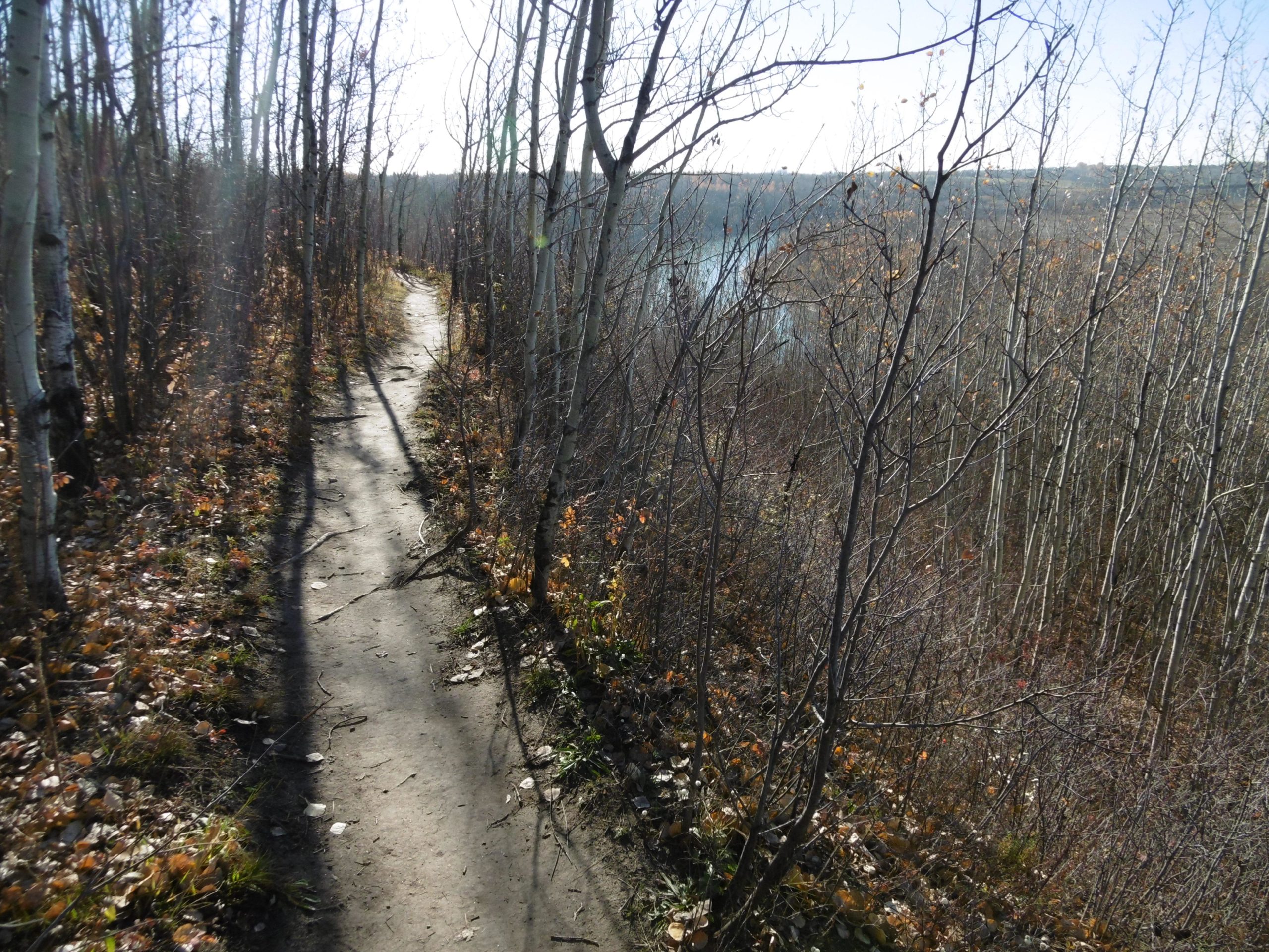 A winding dirt path through a forest with sparse trees, showing signs of autumn with fallen leaves along the trail. In the background, there is a view of a river and distant hills under a clear blue sky. Terwillegar Park mountain bike trail.