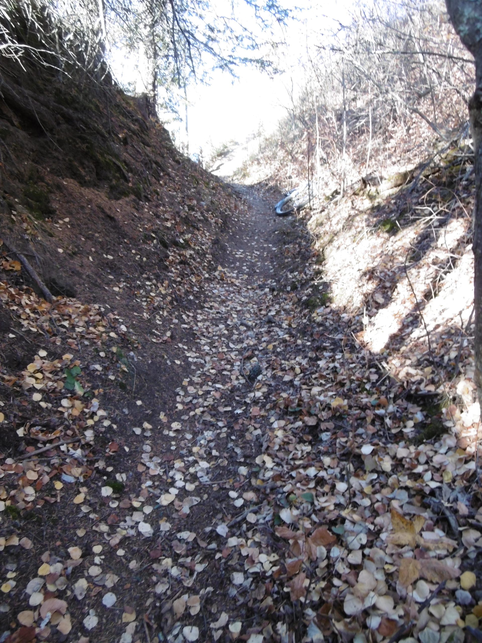 A narrow dirt trail winding through a wooded area, covered with fallen leaves in shades of brown and yellow. The path is flanked by low vegetation and trees, with sunlight filtering through the branches above. A bicycle tire can be seen resting against the side of the trail. Terwillegar Park mountain bike trail.