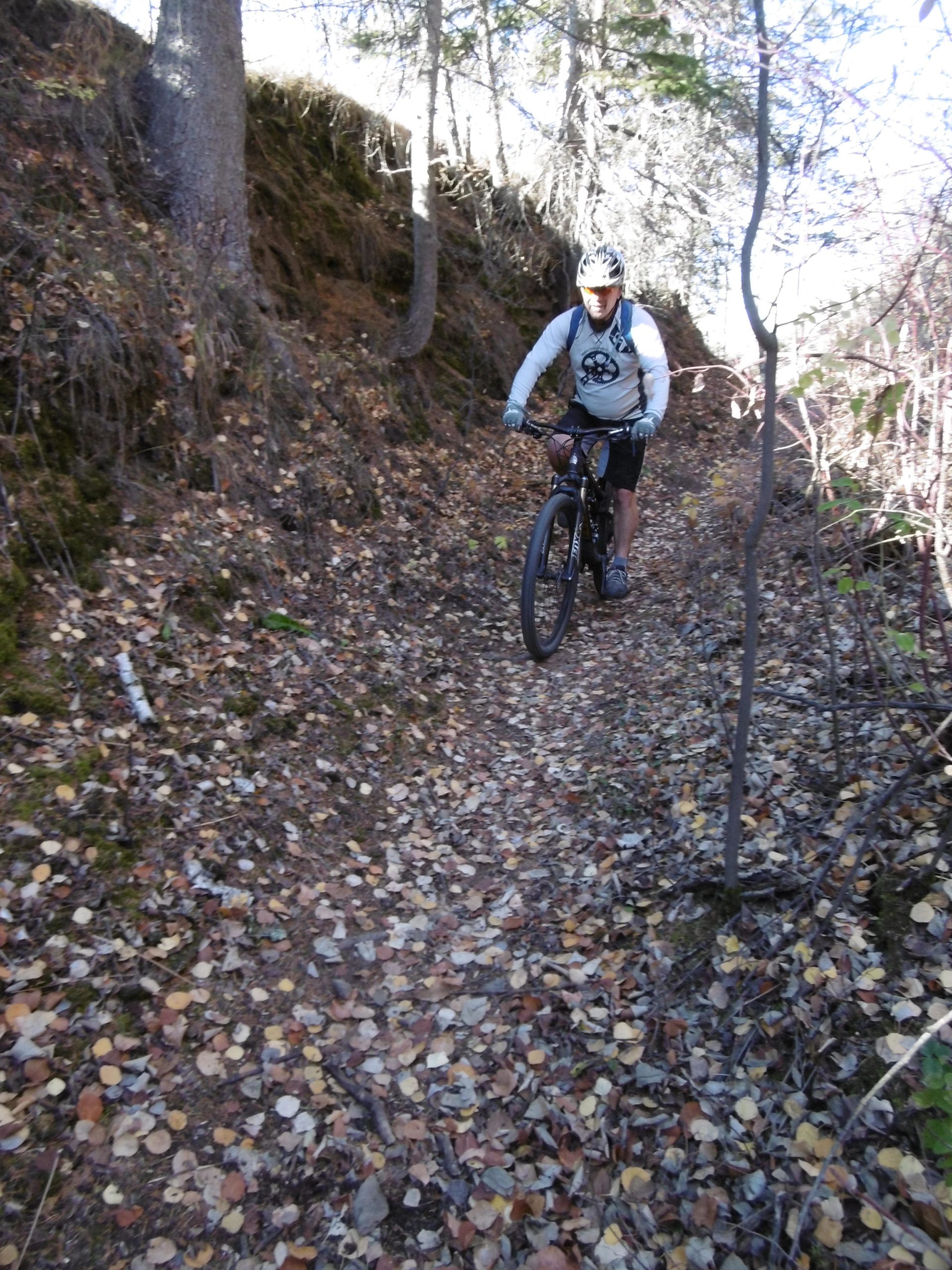 A mountain biker navigating a narrow forest trail covered with fallen leaves, surrounded by trees in a natural setting. The biker is wearing a helmet and biking gear, showcasing an active outdoor lifestyle. Terwillegar Park mountain bike trail.